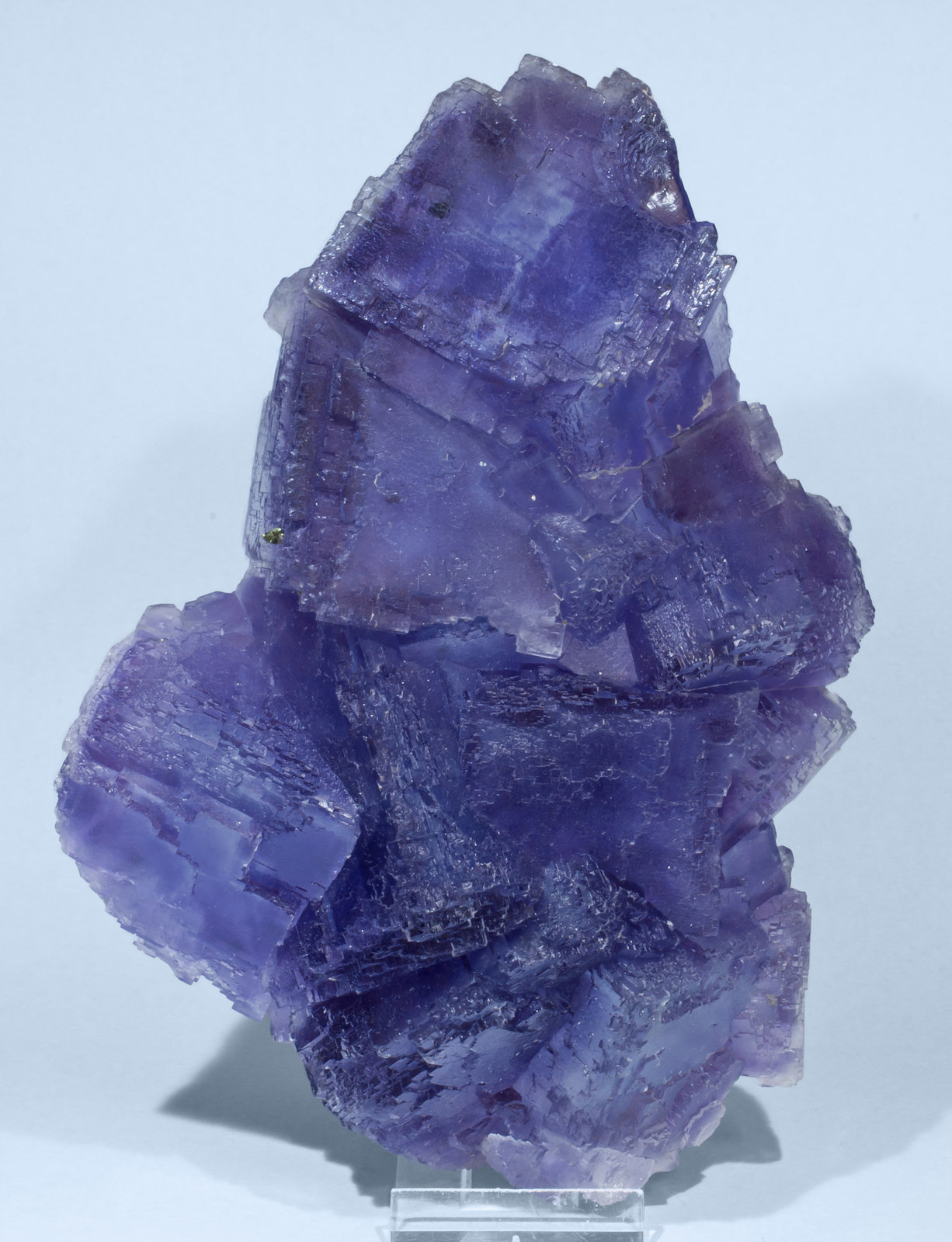 specimens/s_imagesAJ5/Fluorite-NQ86AJ5f3.jpg