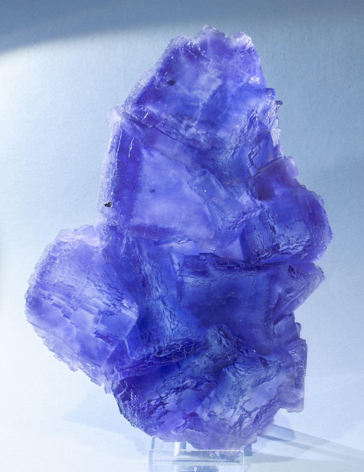 specimens/s_imagesAJ5/Fluorite-NQ86AJ5f4.jpg