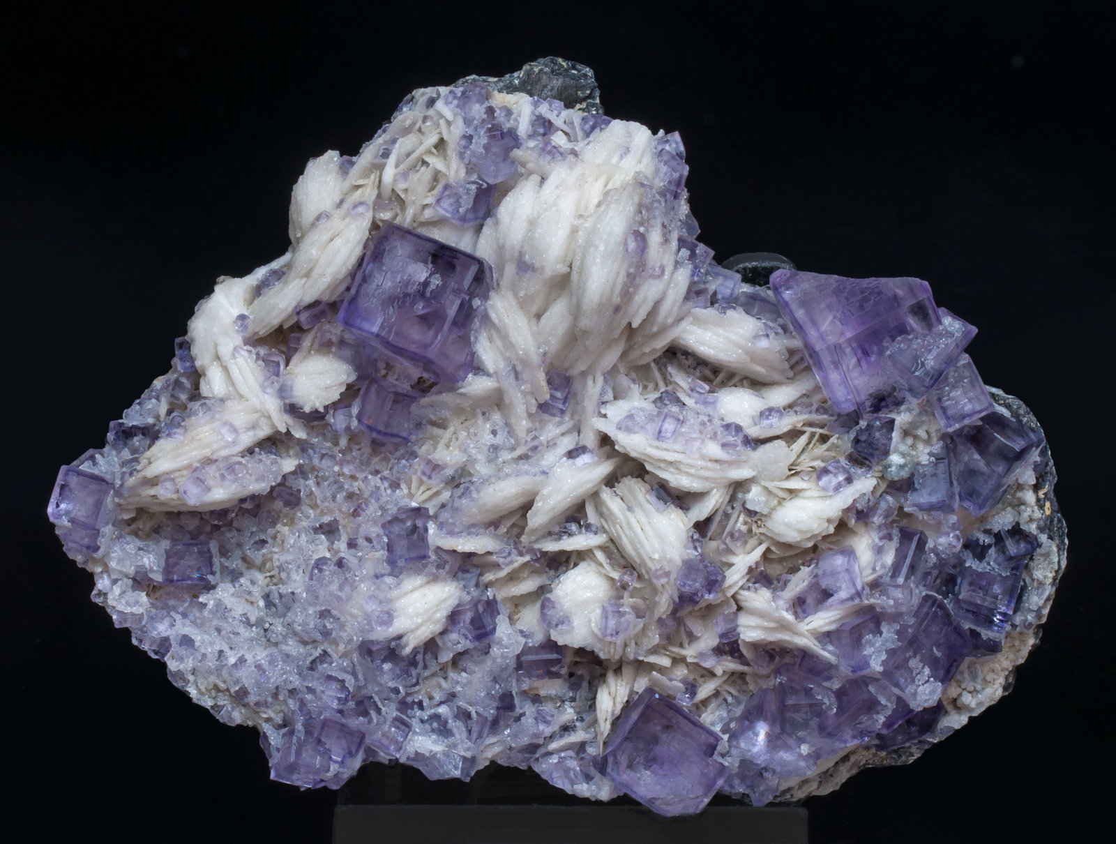 specimens/s_imagesAJ5/Fluorite-NR14AJ5f.jpg