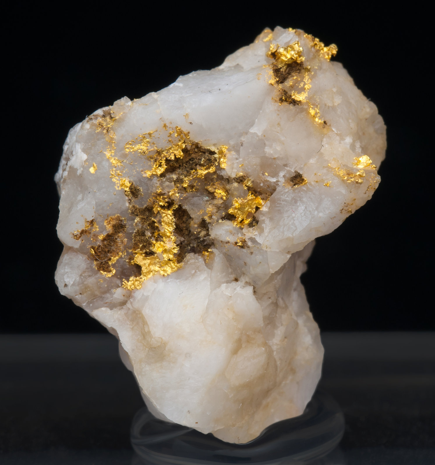 specimens/s_imagesAJ5/Gold-TG76AJ5f.jpg