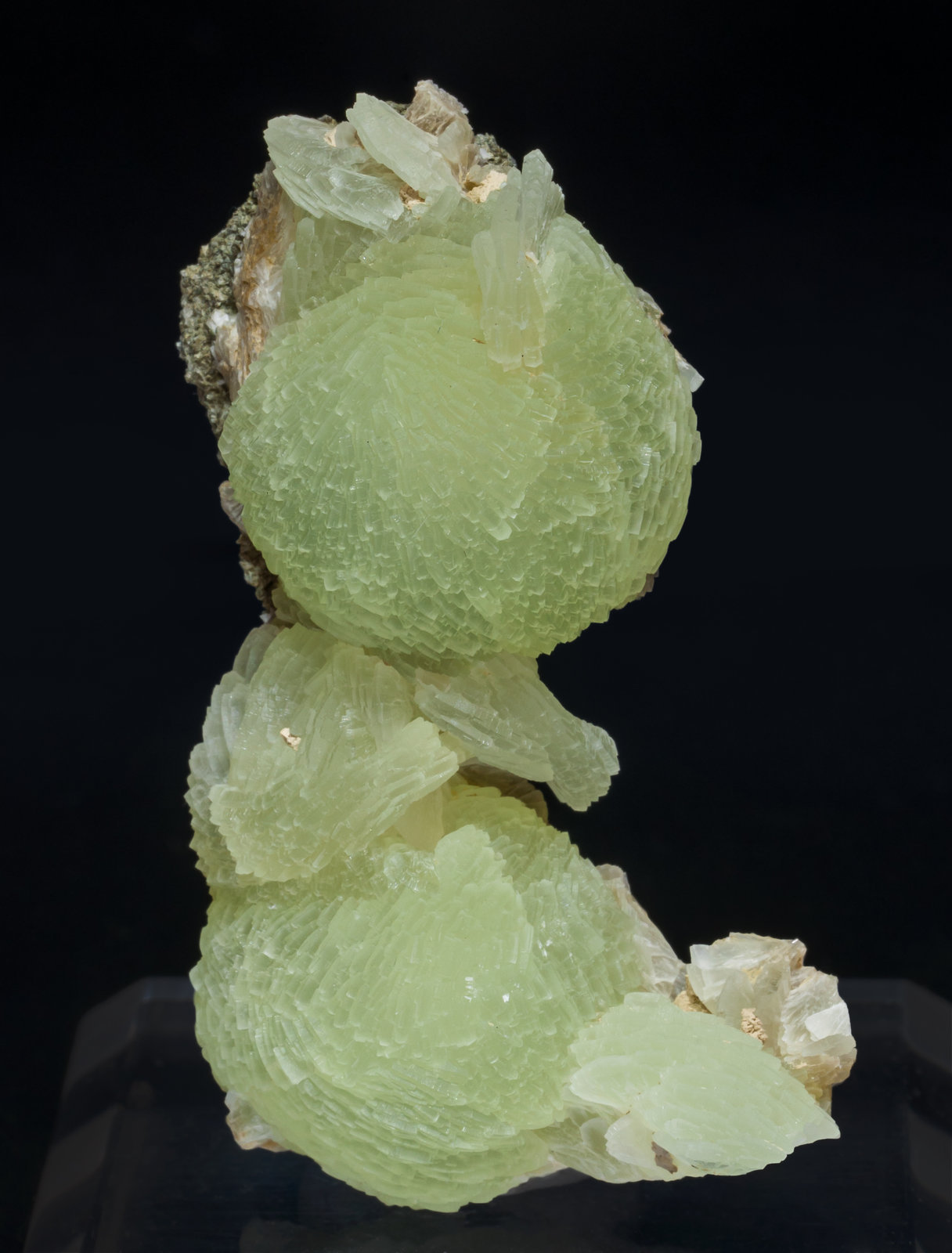 specimens/s_imagesAJ5/Prehnite-NJ9AJ5f.jpg
