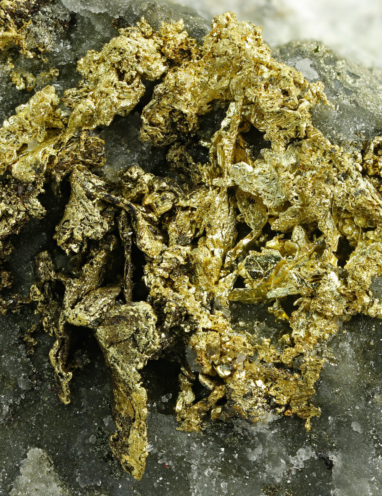 specimens/s_imagesAJ6/Gold-MF98AJ6d2.jpg