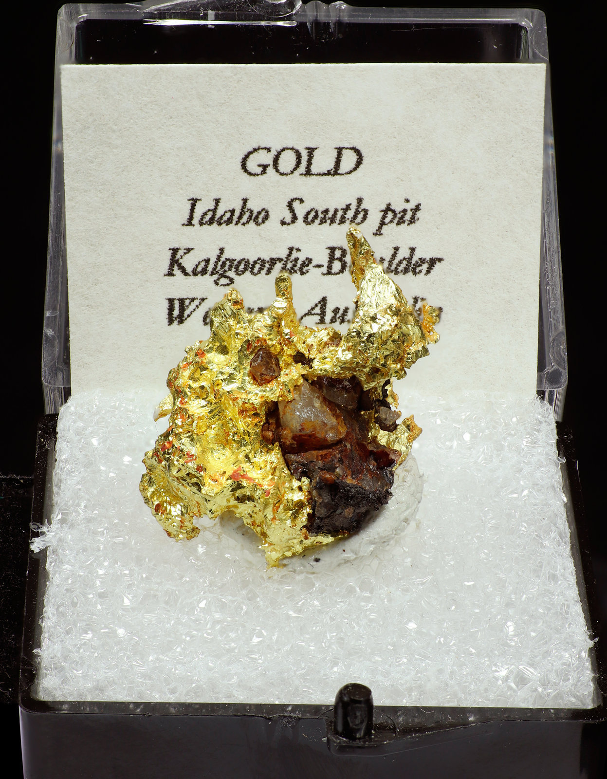 specimens/s_imagesAJ6/Gold-TZ43AJ6f.jpg