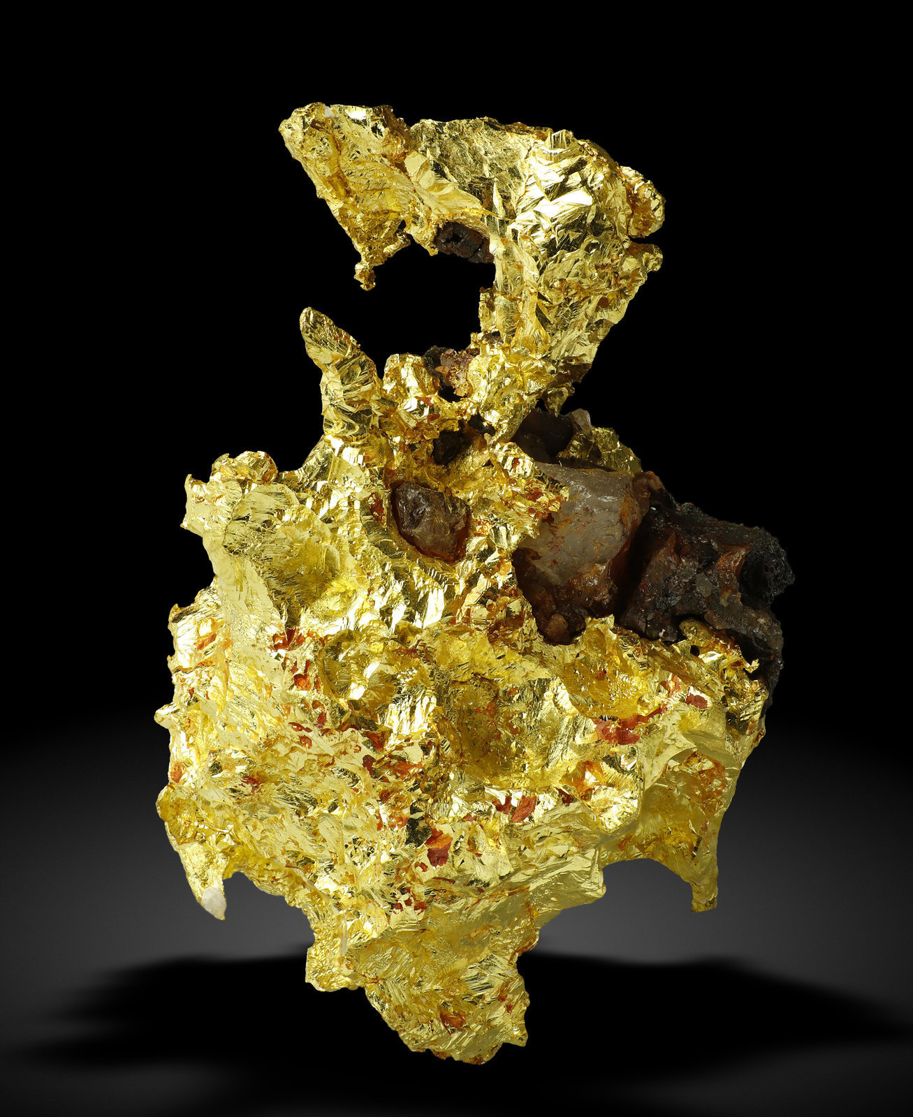 specimens/s_imagesAJ6/Gold-TZ43AJ6s1.jpg