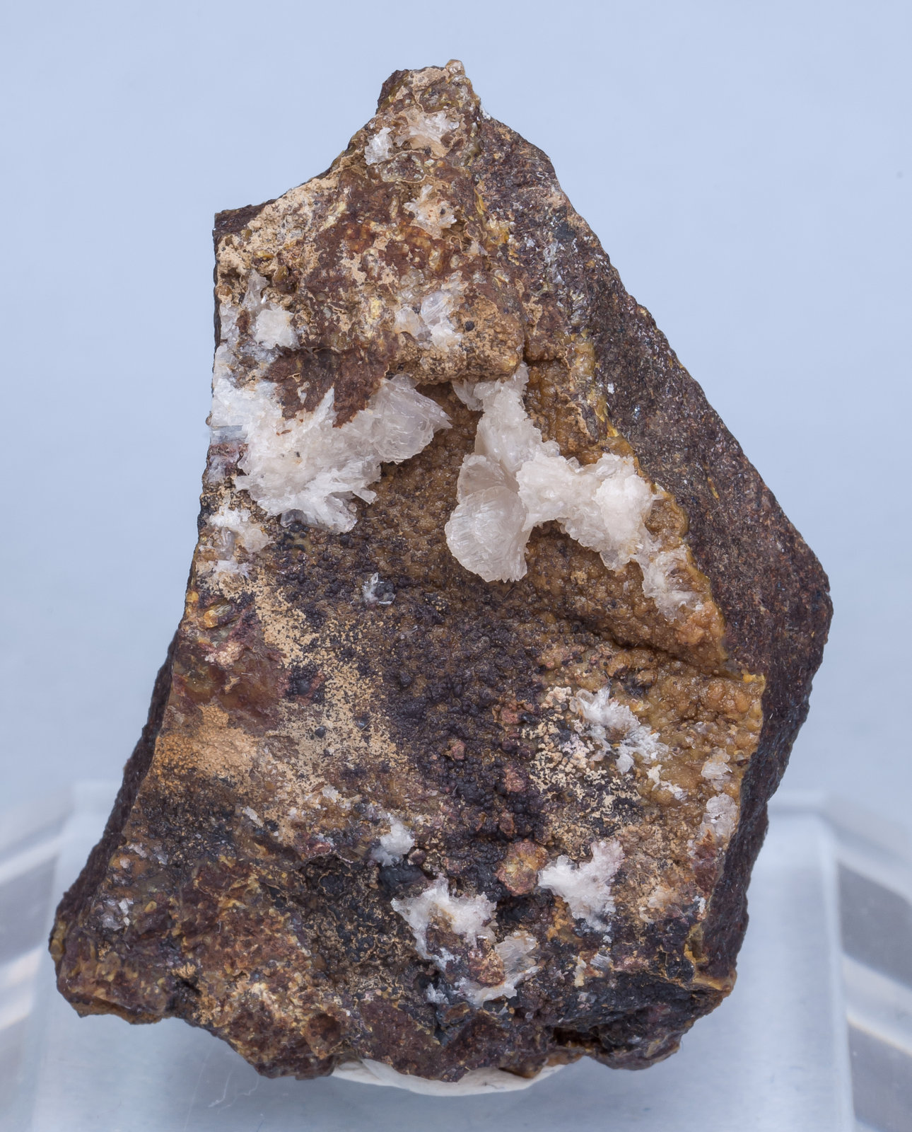 specimens/s_imagesAJ7/Brandtite-CH13AJ7f.jpg