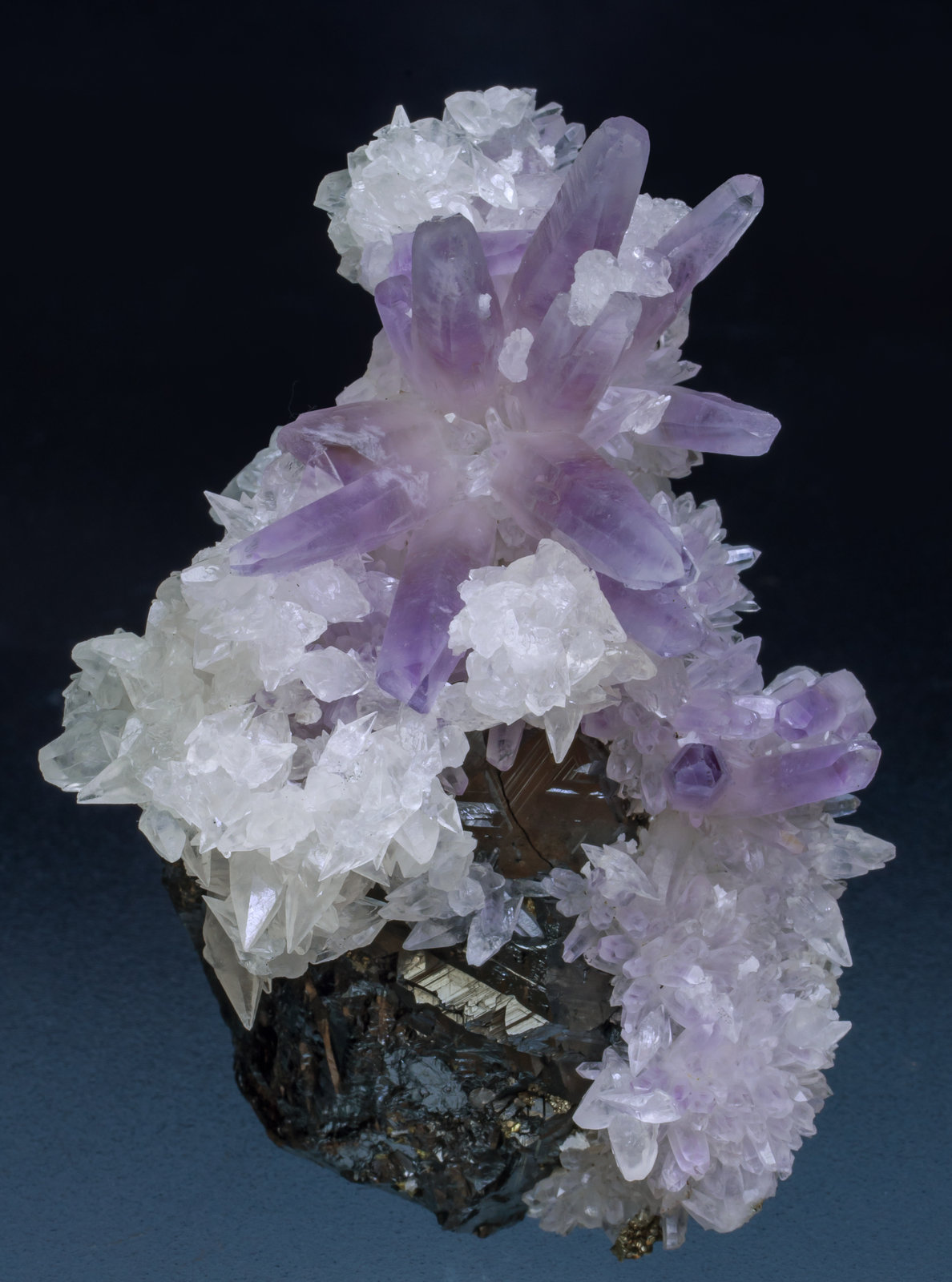 specimens/s_imagesAJ7/Quartz_amethyst-CE37AJ7f.jpg