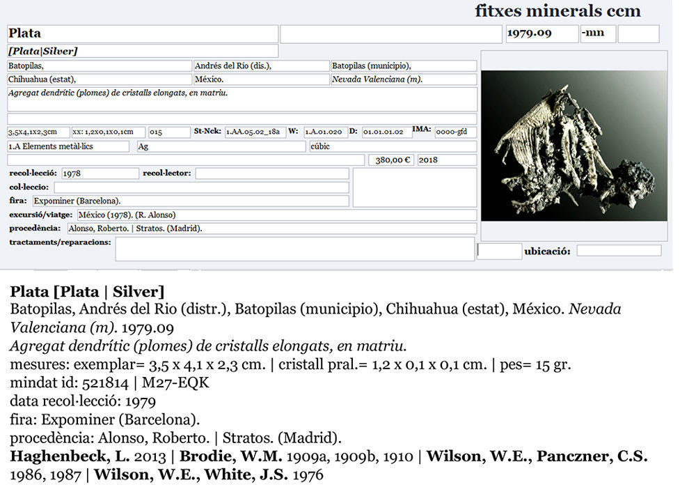 specimens/s_imagesAJ7/Silver-CB47AJ7e.jpg