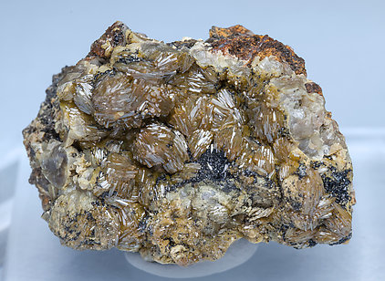 Vanadinite (variety endlichite). 