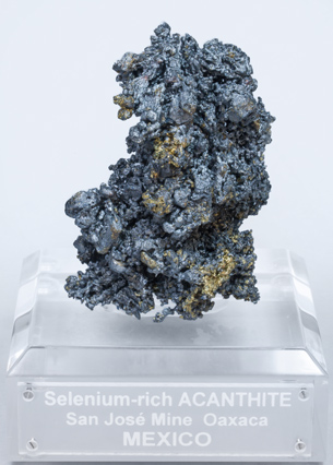 Acanthite (Se-bearing) with Pyrite. 