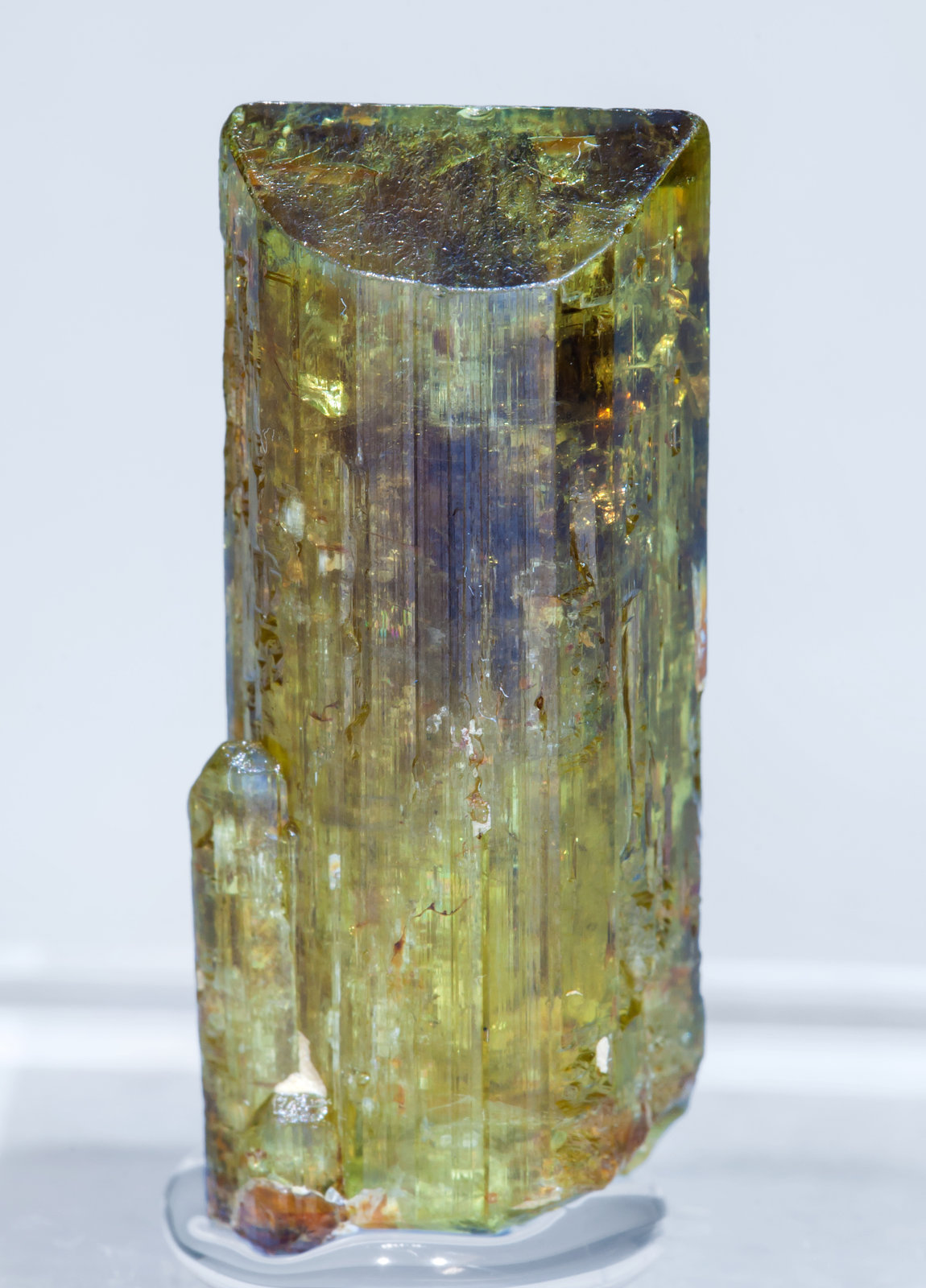 specimens/s_imagesAJ8/Chrysoberyl-NA89AJ8r.jpg