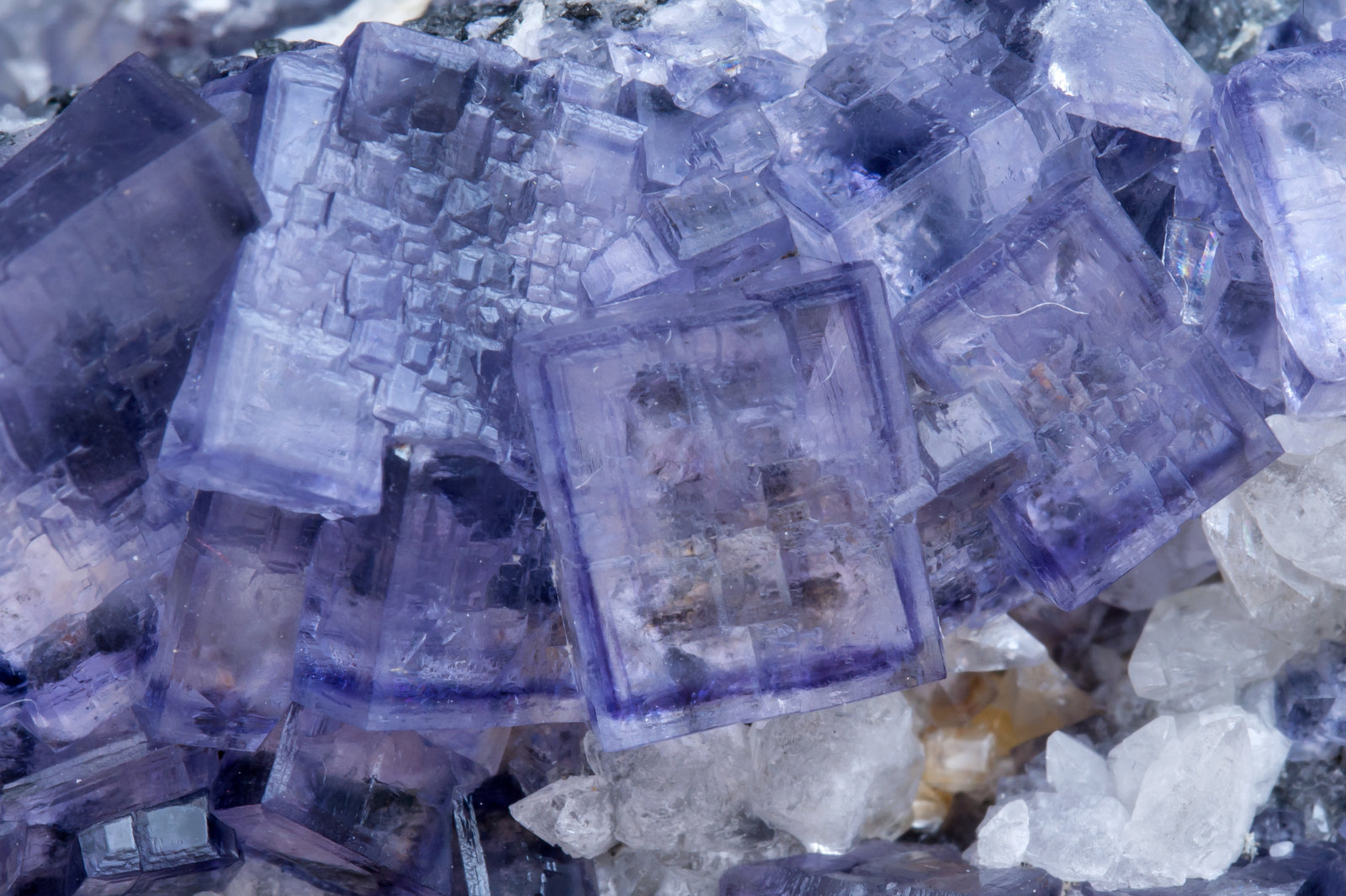 specimens/s_imagesAJ8/Fluorite-NG14AJ8d.jpg