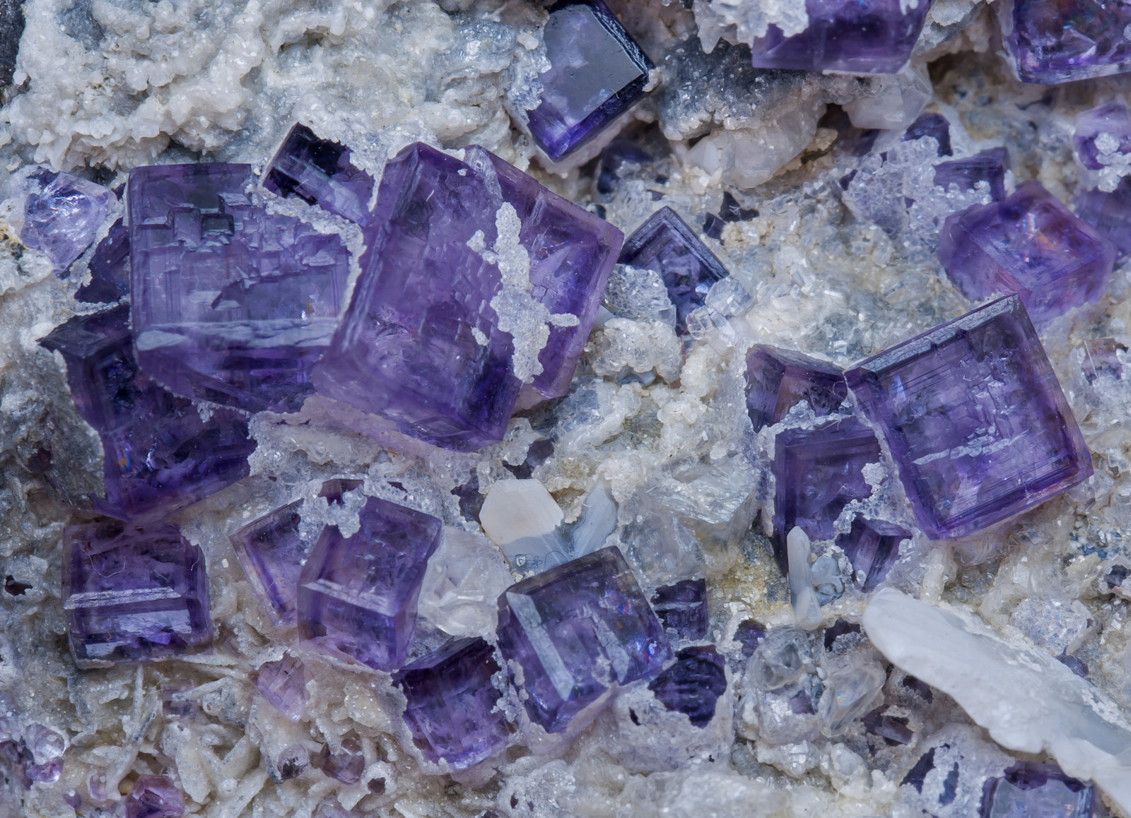 specimens/s_imagesAJ8/Fluorite-NJ59AJ8d.jpg