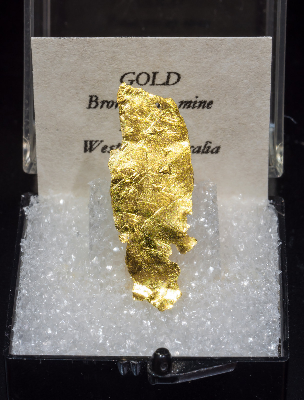 specimens/s_imagesAJ8/Gold-TG93AJ8f1.jpg