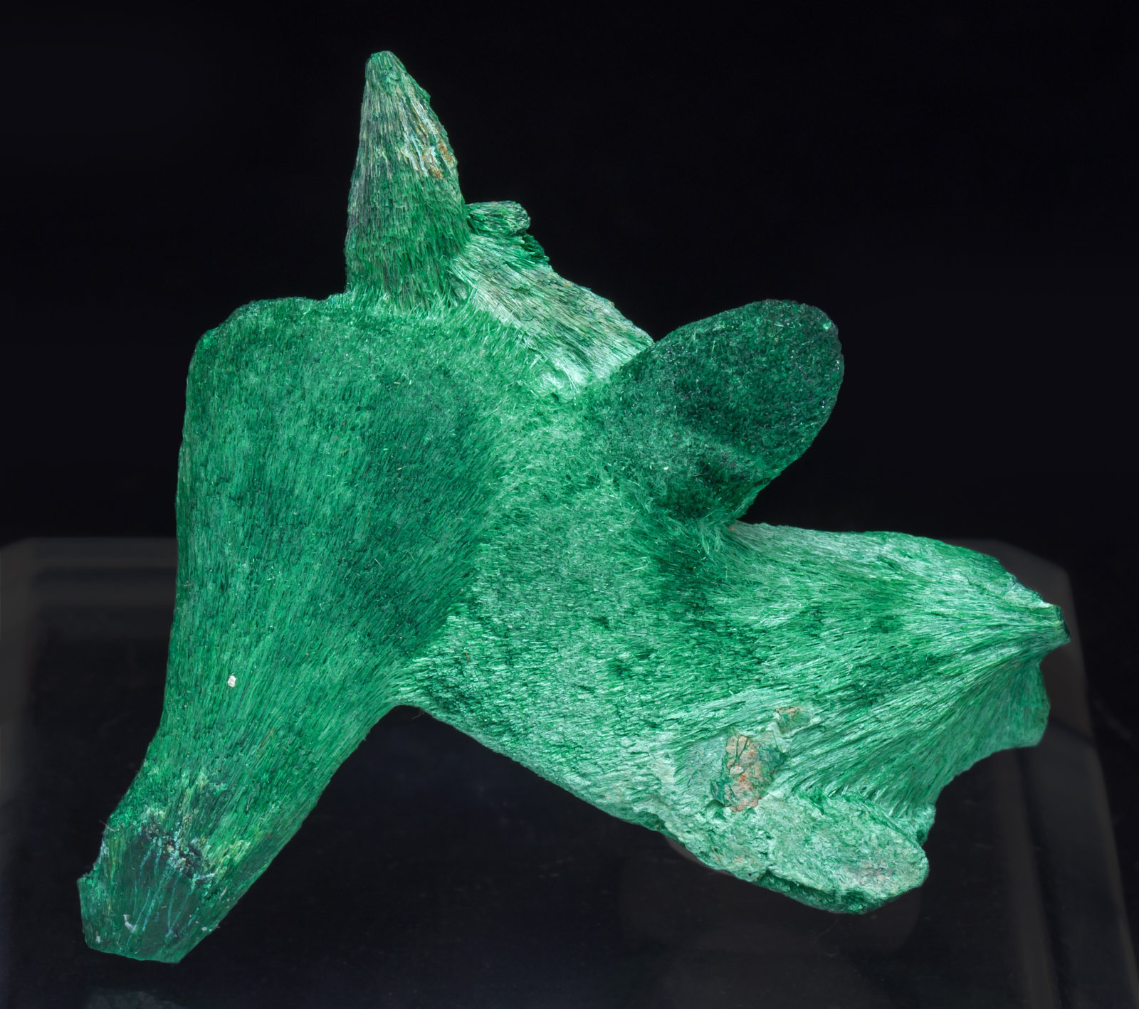 specimens/s_imagesAJ8/Malachite-TX96AJ8f.jpg