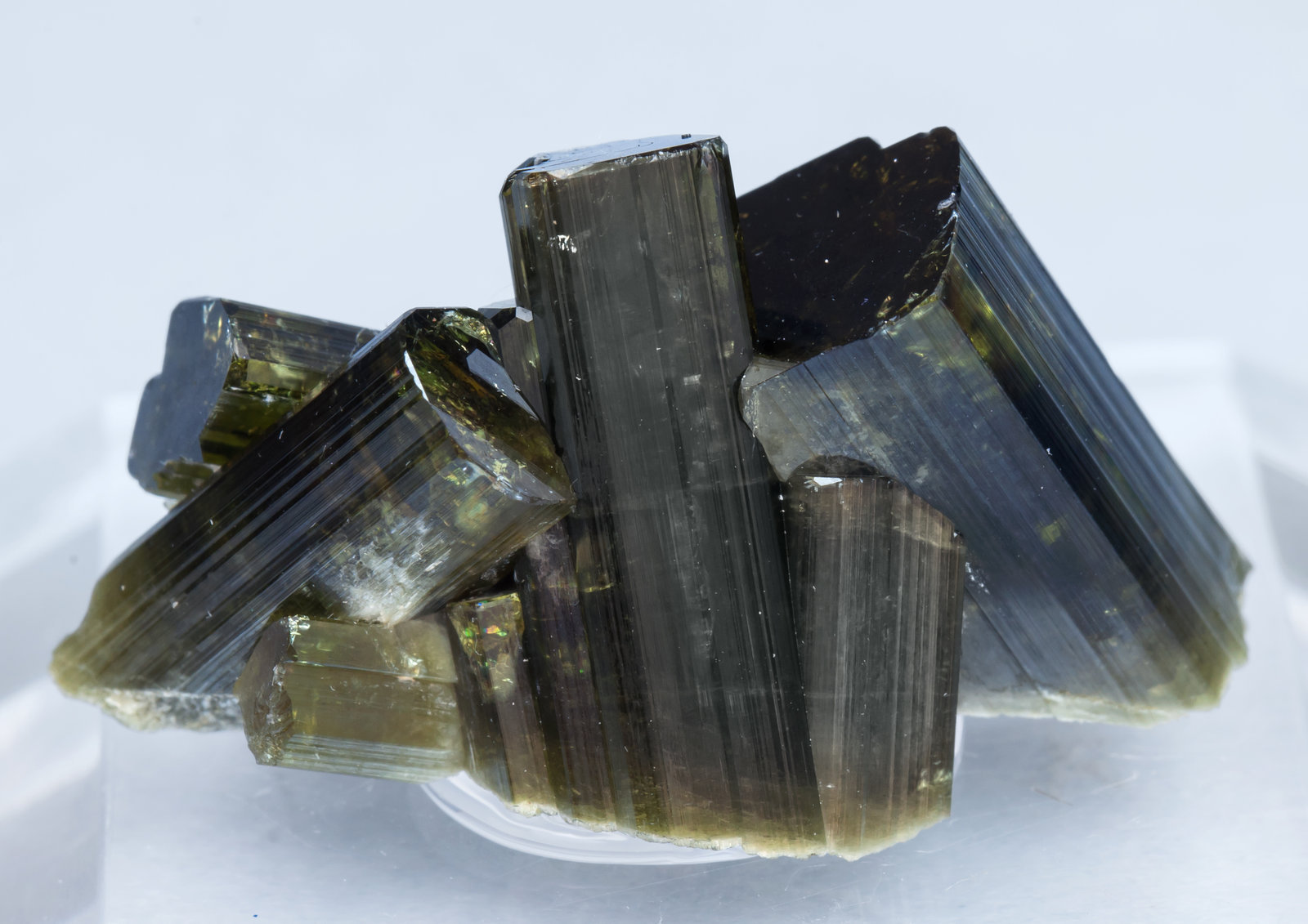 specimens/s_imagesAJ8/Vesuvianite-NT96AJ8f.jpg