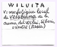 Wiluita