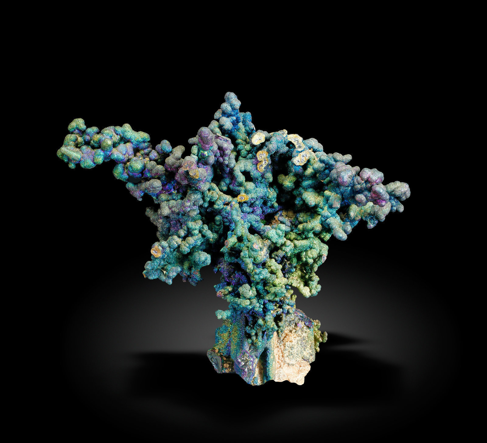 specimens/s_imagesAJ9/Chalcocite-TF17AJ9_9125_r.jpg
