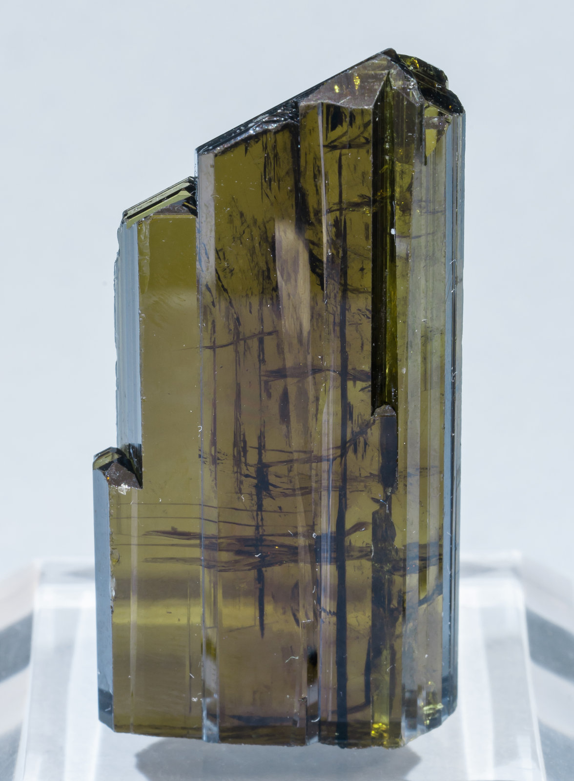 specimens/s_imagesAJ9/Epidote-ND27AJ9r.jpg