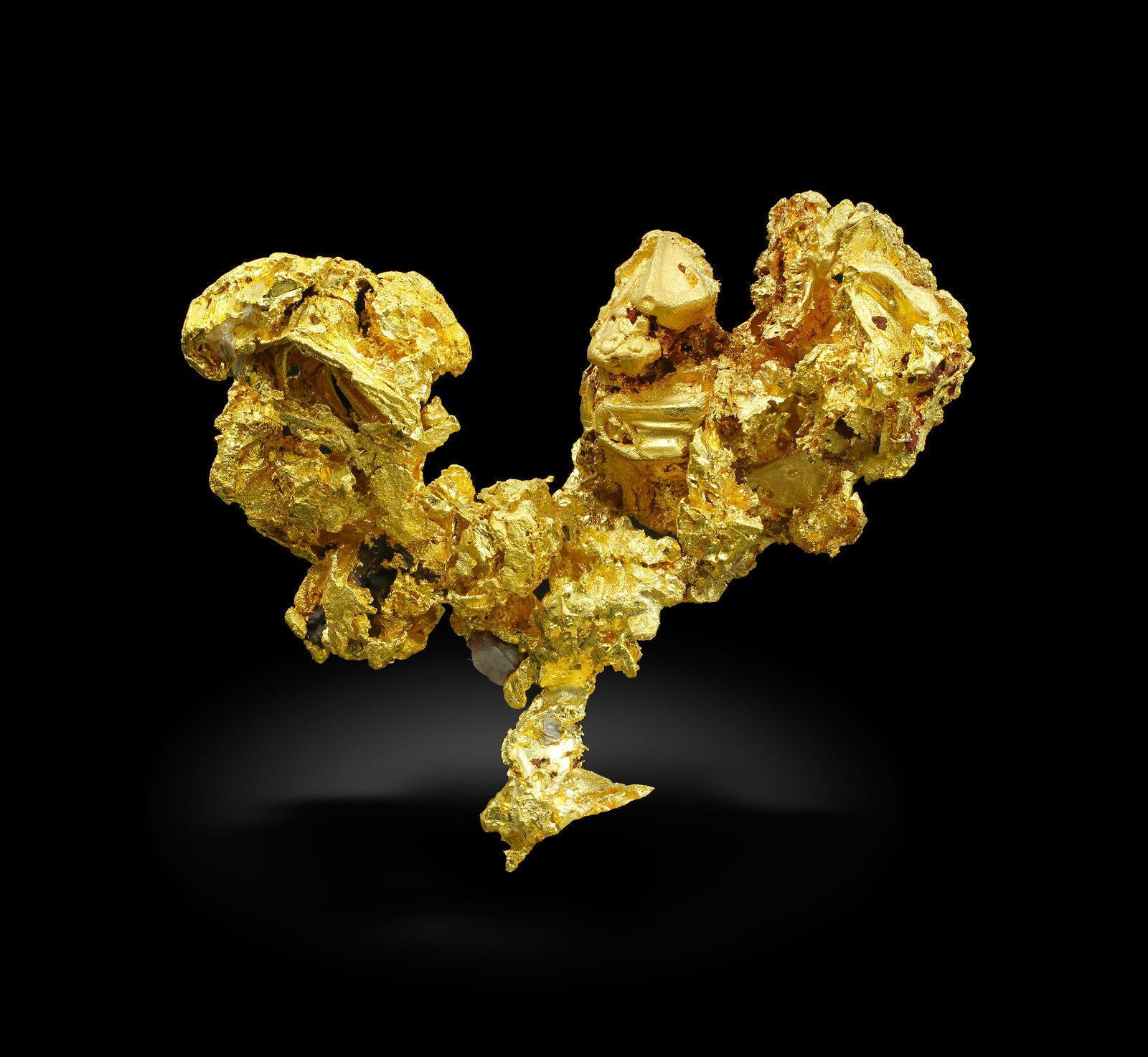 specimens/s_imagesAJ9/Gold-TR76AJ9_9199_r.jpg