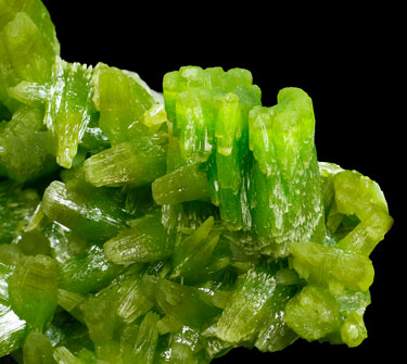 Pyromorphite. 