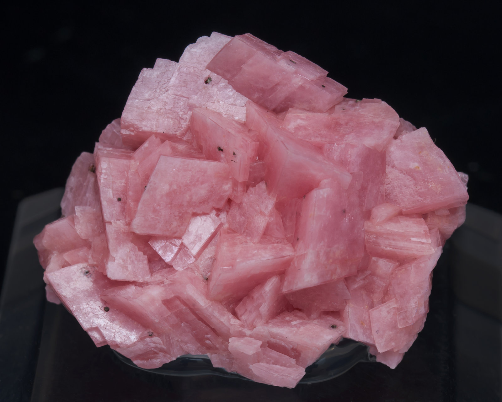specimens/s_imagesAJ9/Rhodochrosite-TJ6AJ9f.jpg