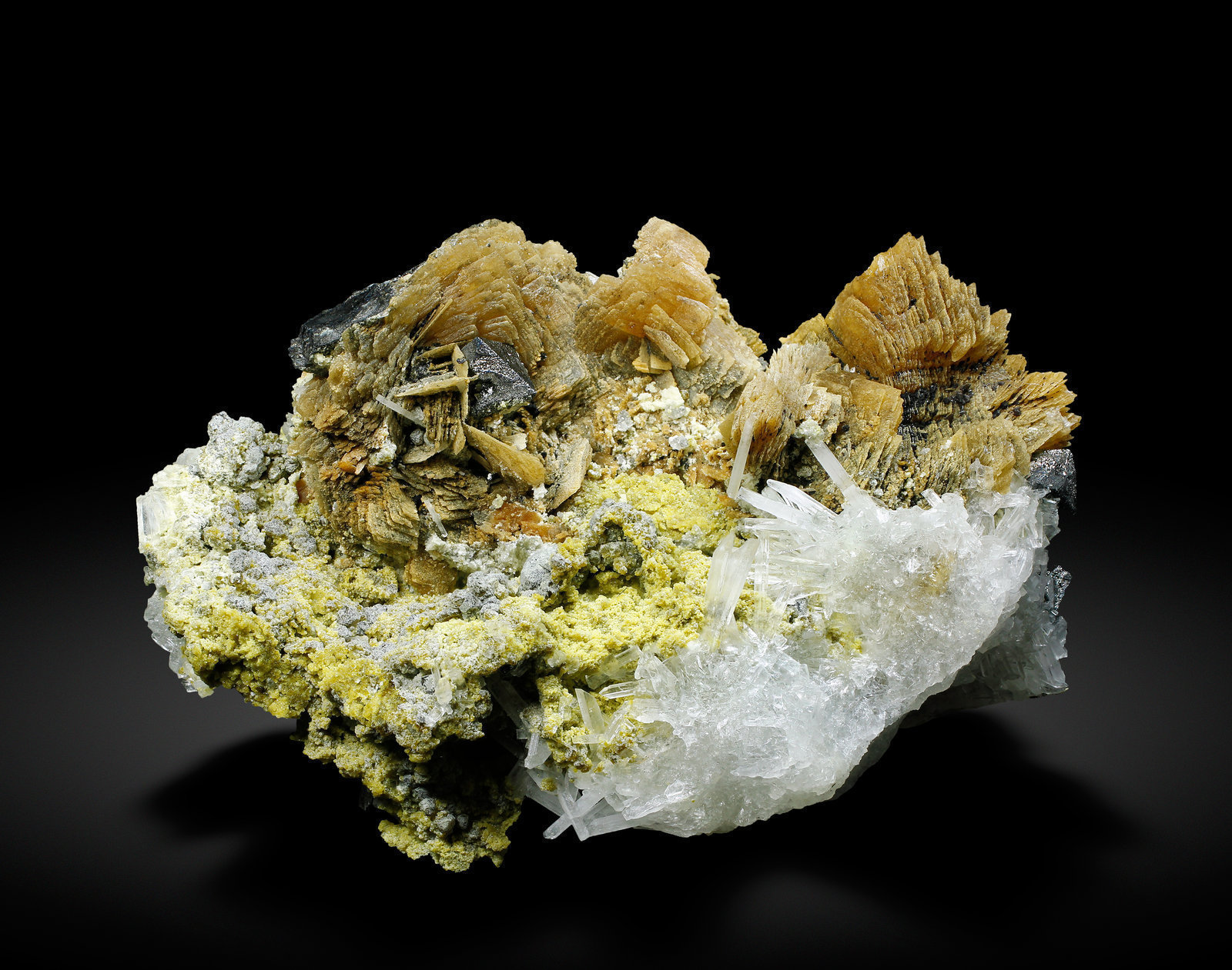 specimens/s_imagesAJ9/Roweite-EA89AJ9_9597_f.jpg