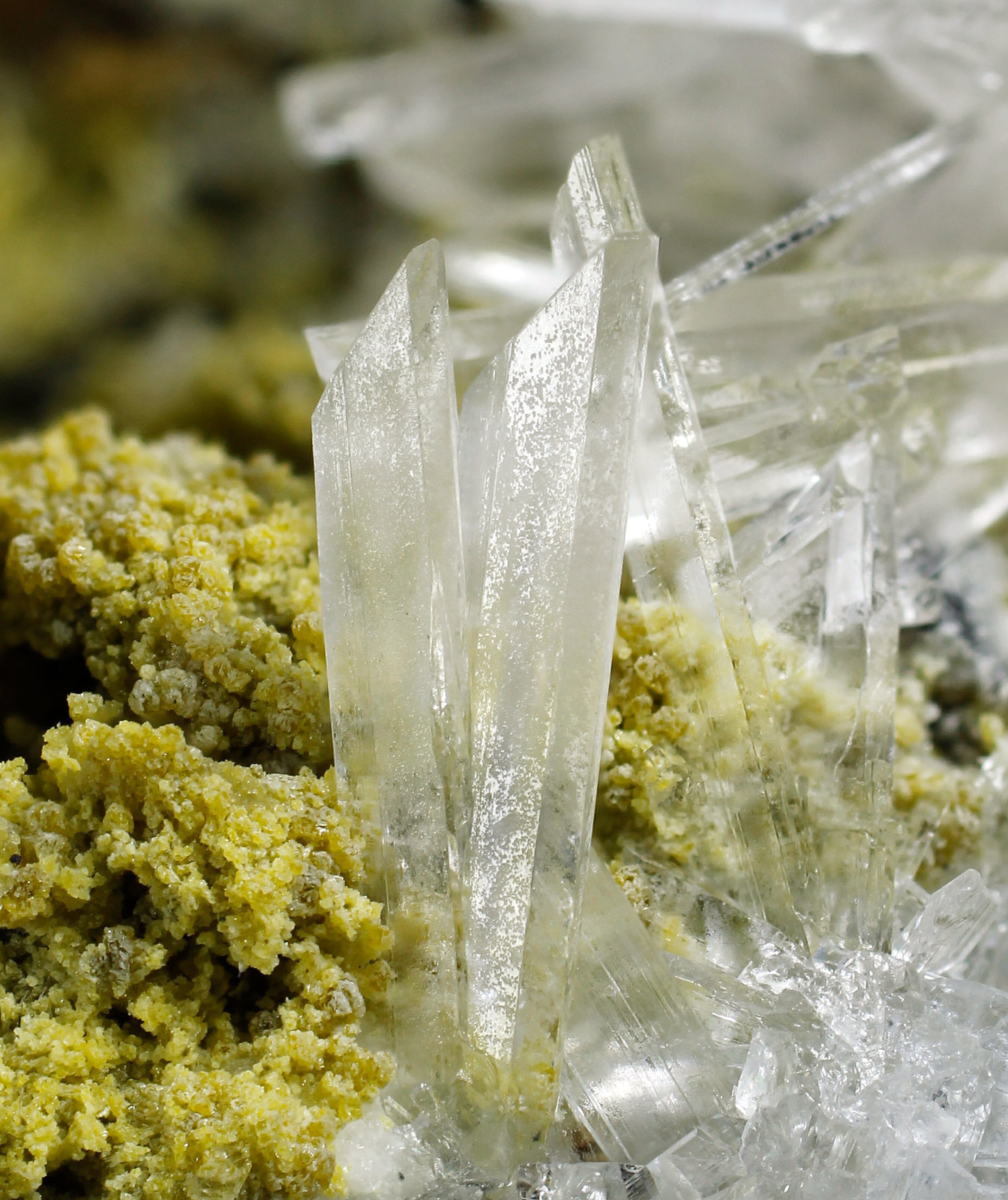 specimens/s_imagesAJ9/Roweite-EA89AJ9_9607_d1.jpg