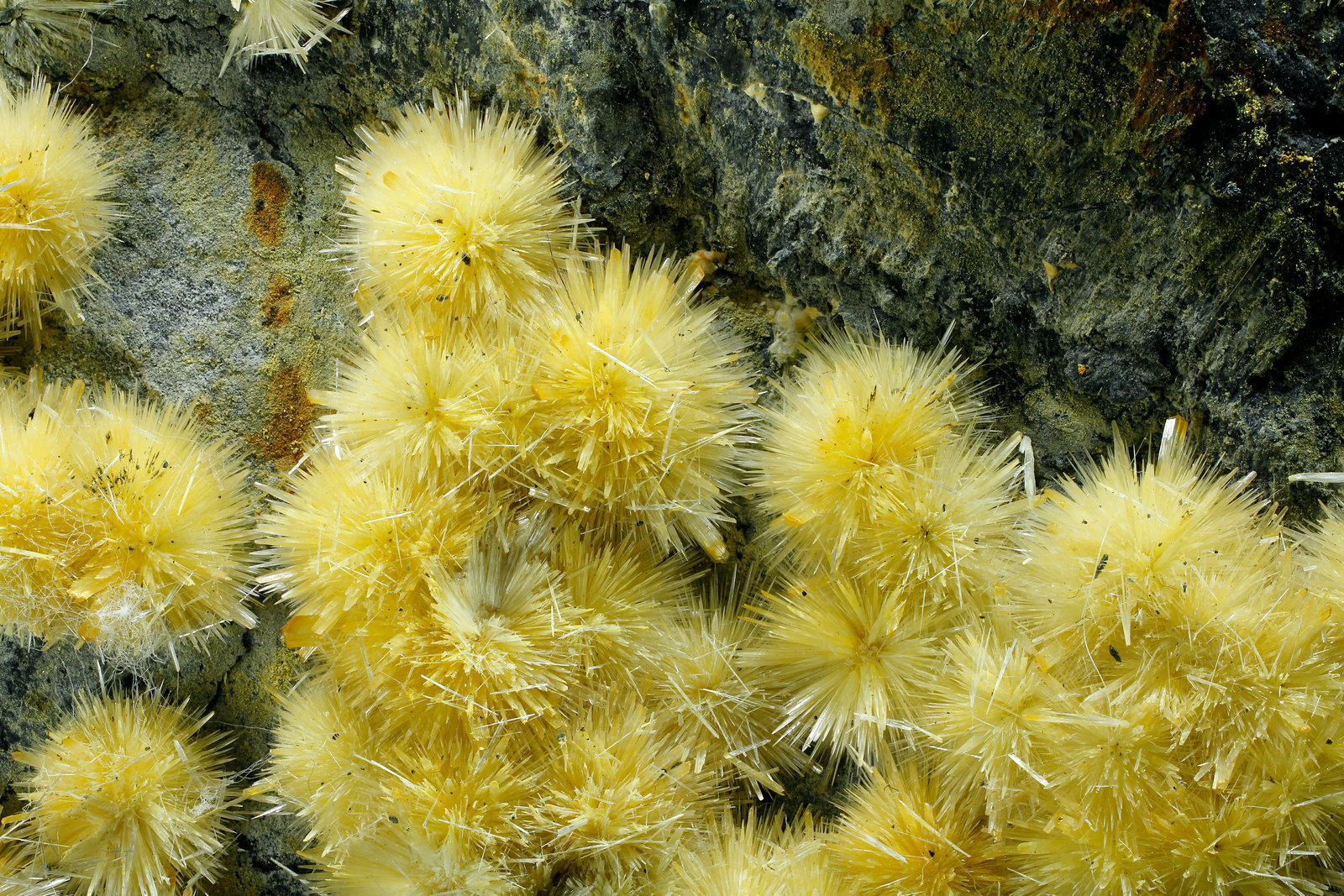 specimens/s_imagesAJ9/Valentinite-EA92AJ9_8911_d1.jpg
