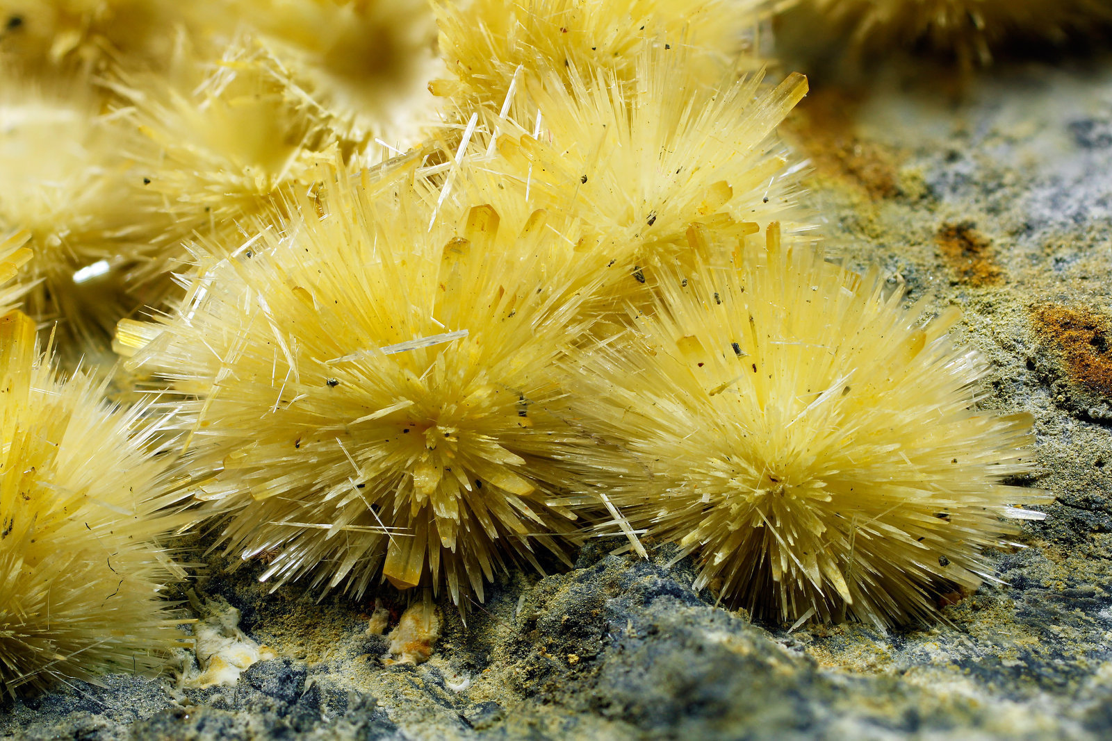 specimens/s_imagesAJ9/Valentinite-EA92AJ9_8934_d2.jpg