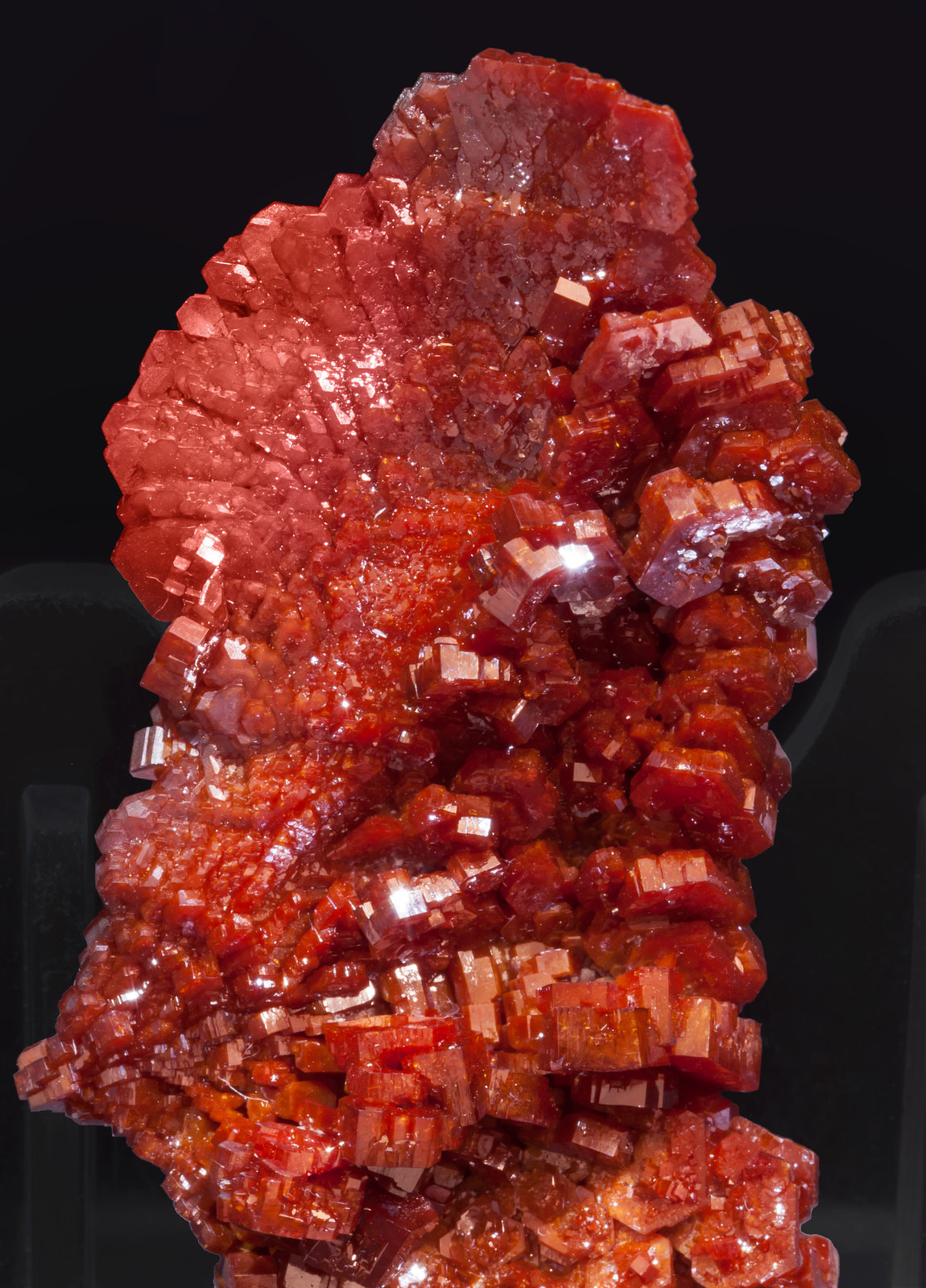 specimens/s_imagesAJ9/Vanadinite-EA91AJ9d.jpg