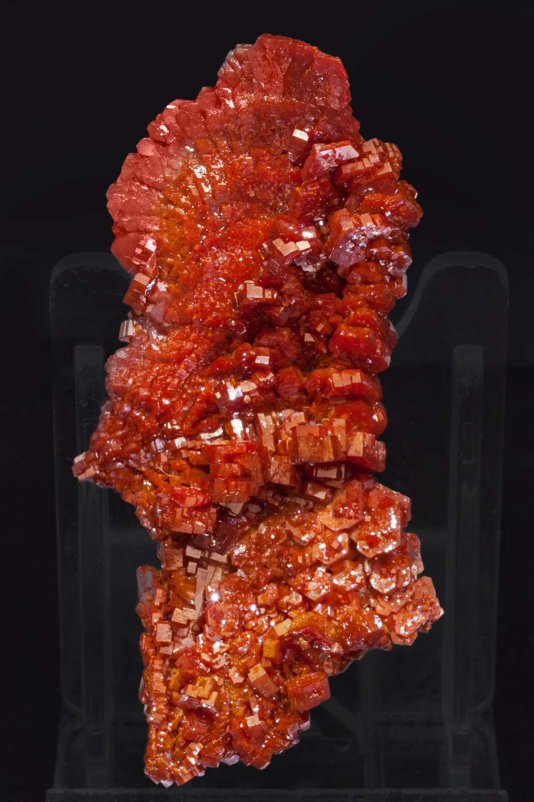 specimens/s_imagesAJ9/Vanadinite-EA91AJ9f.jpg