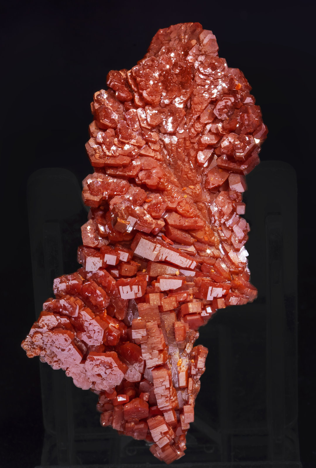 specimens/s_imagesAJ9/Vanadinite-EA91AJ9r.jpg