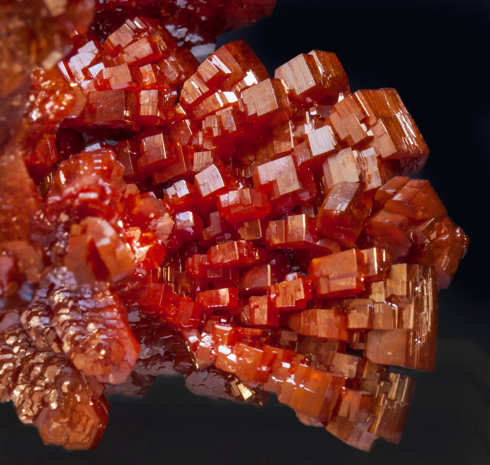 specimens/s_imagesAJ9/Vanadinite-EF73AJ9d.jpg