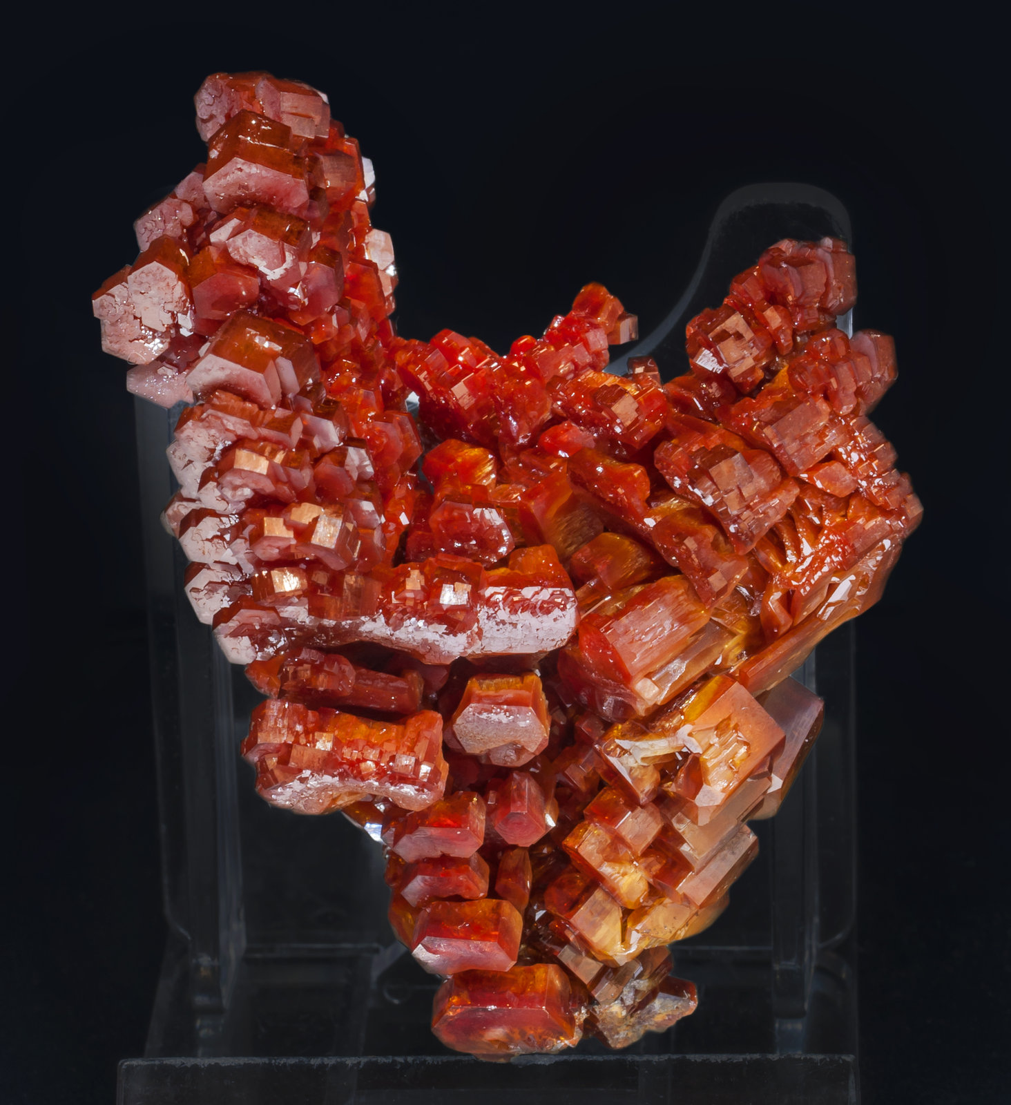 specimens/s_imagesAJ9/Vanadinite-EF73AJ9s.jpg