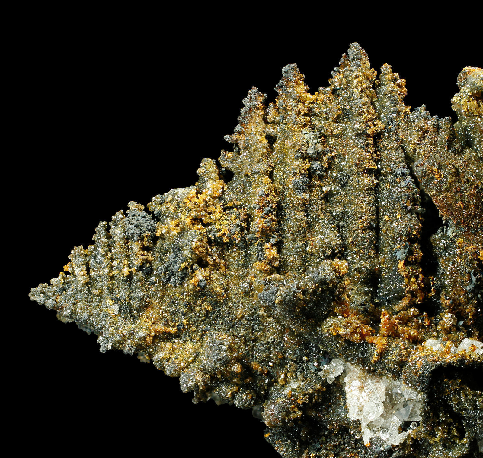 specimens/s_imagesAJ9/Willemite-MK87AJ9_9589_d.jpg