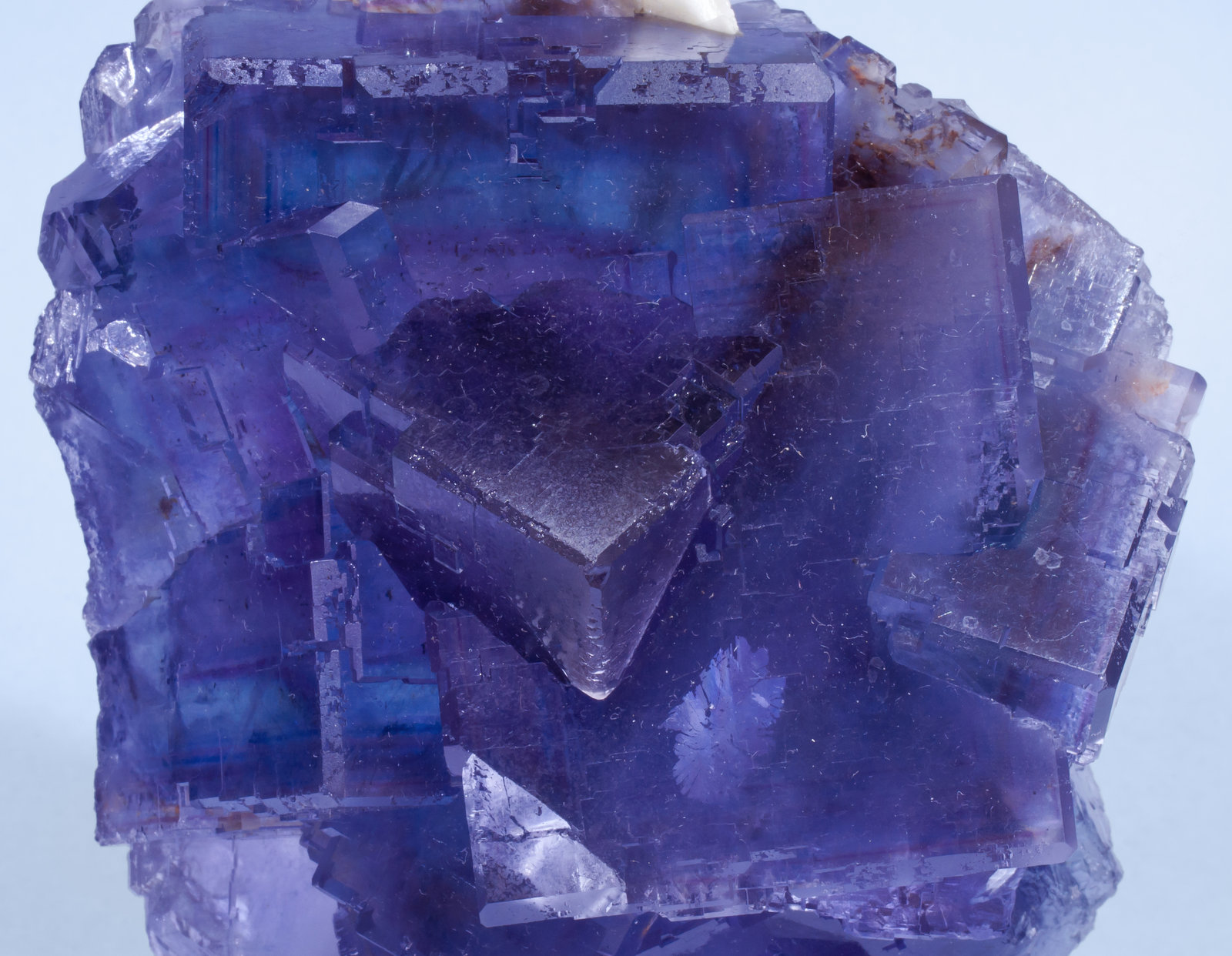 specimens/s_imagesAK0/Fluorite-GG96AK0d.jpg