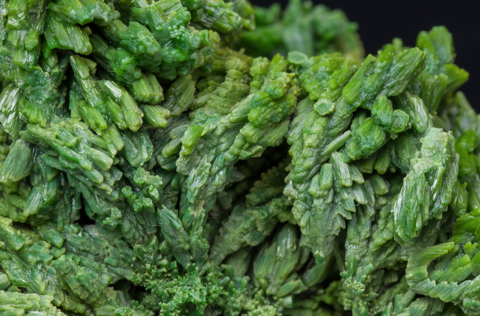 specimens/s_imagesAK0/Pyromorphite-MK69AK0d.jpg
