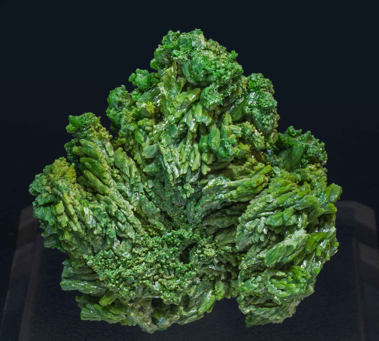 specimens/s_imagesAK0/Pyromorphite-MK69AK0f.jpg