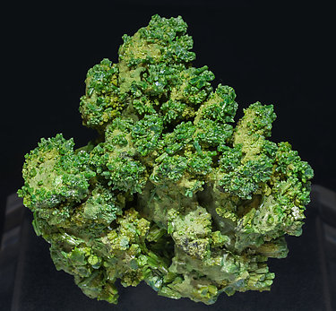 Pyromorphite. Rear