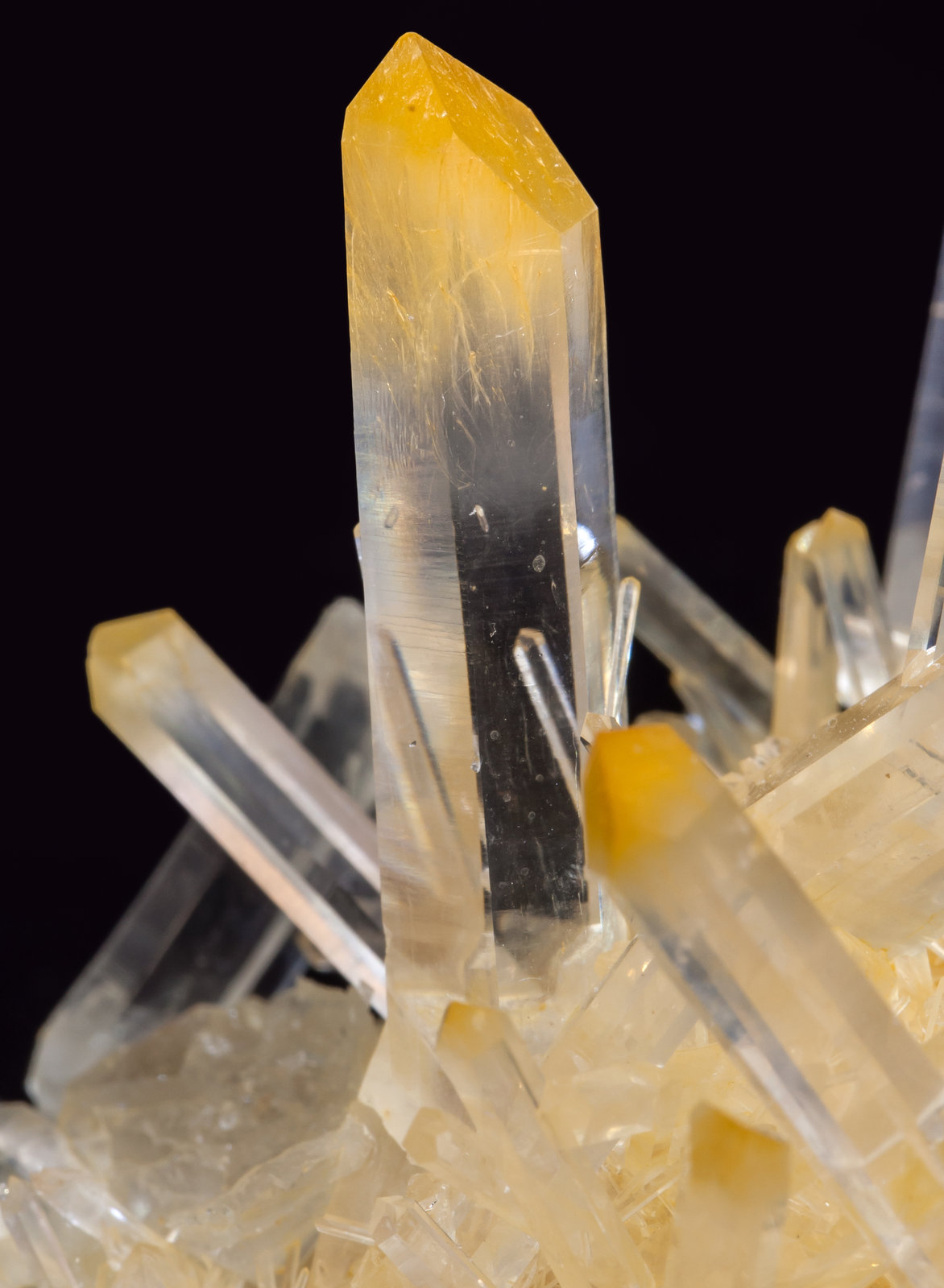 specimens/s_imagesAK0/Quartz-EB49AK0d.jpg