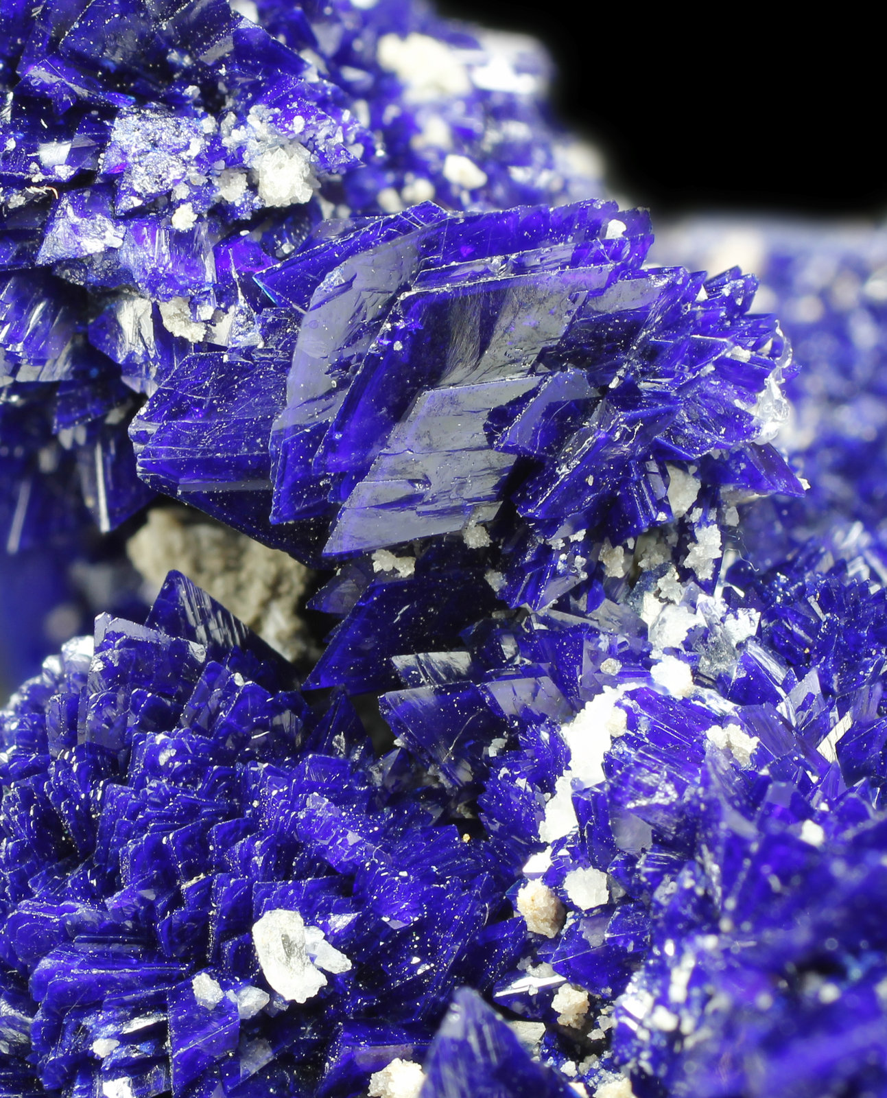 specimens/s_imagesAK1/Azurite-EL66AK1_0260_d.jpg
