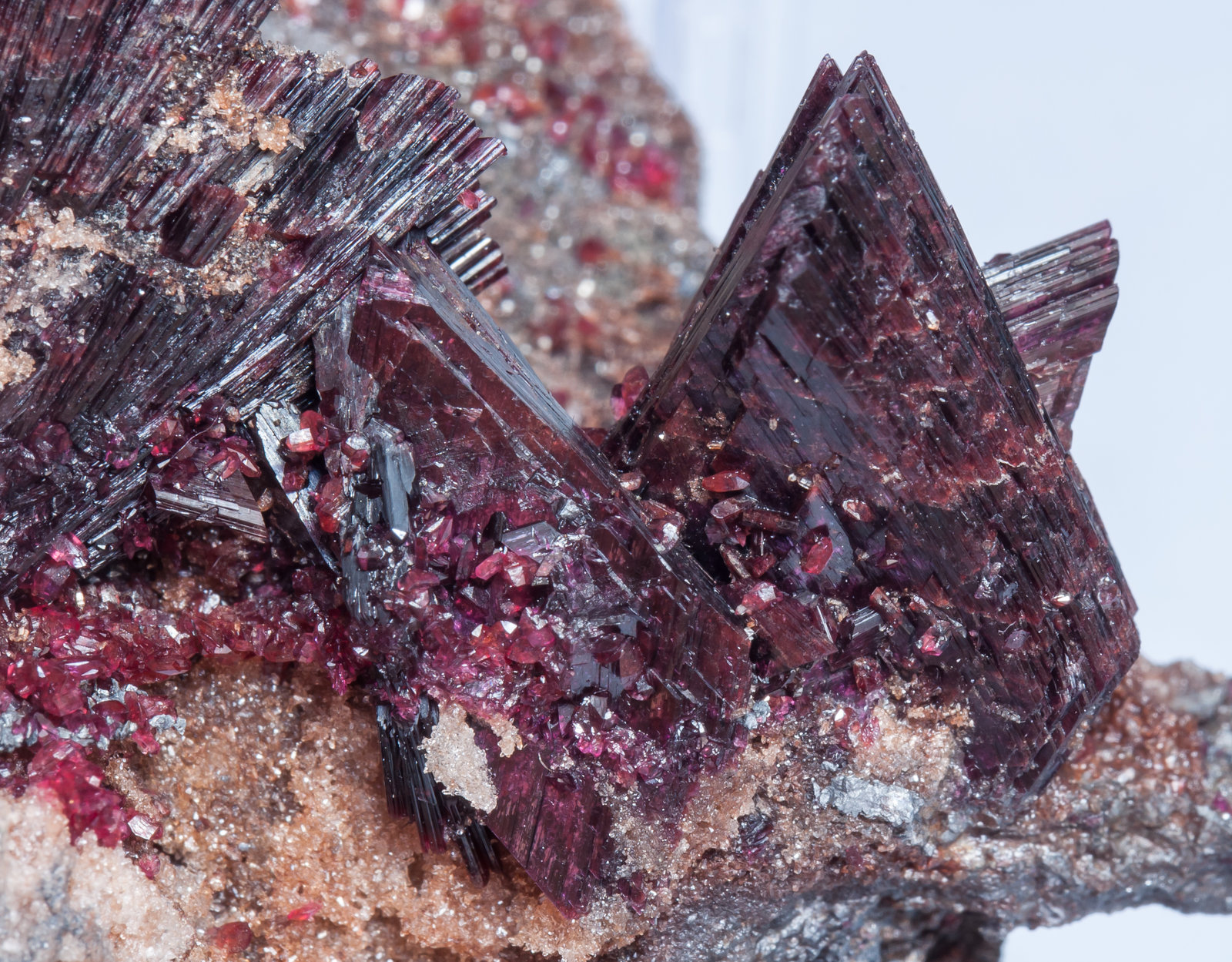 specimens/s_imagesAK1/Erythrite-ER73AK1d2.jpg