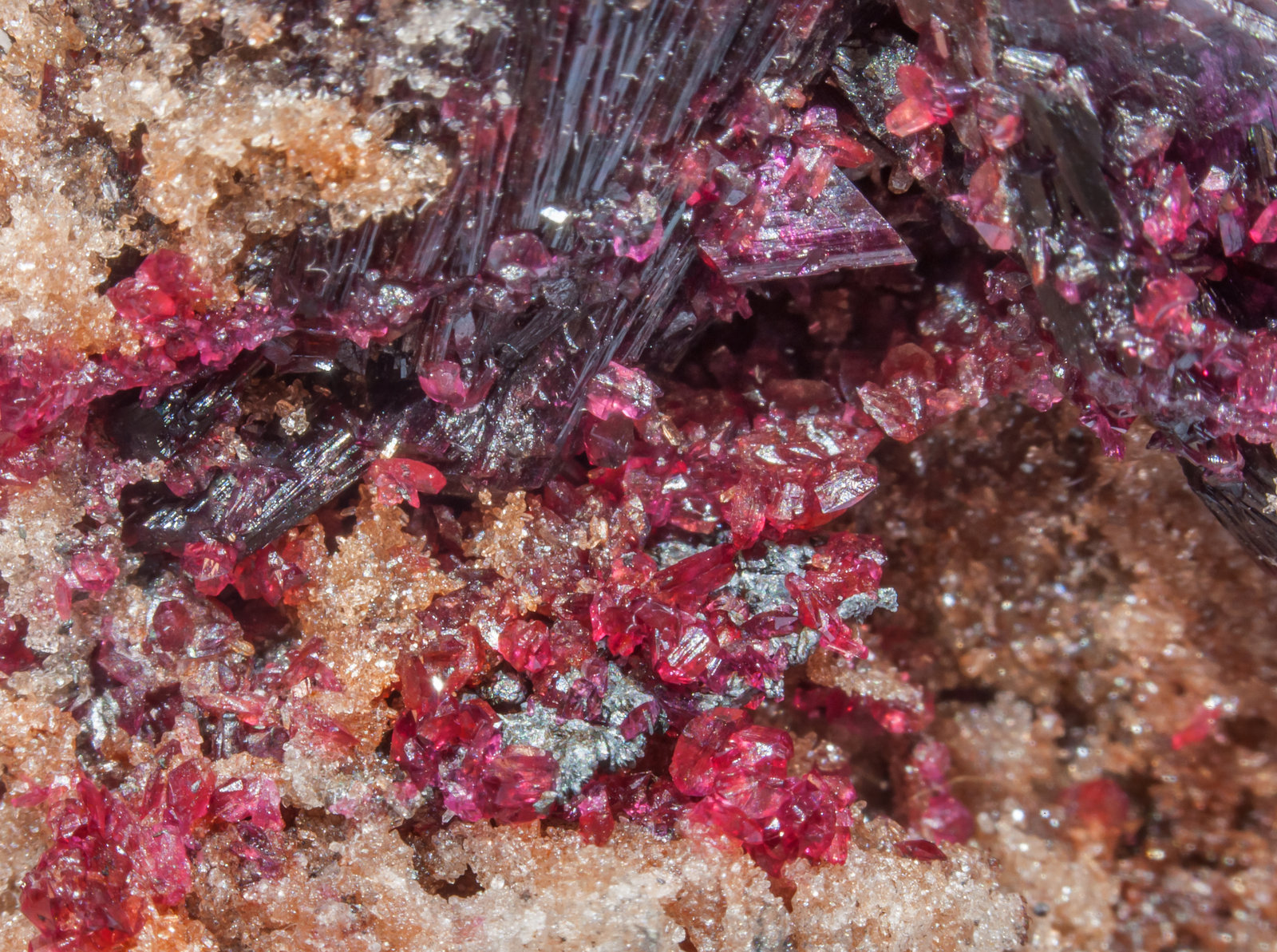 specimens/s_imagesAK1/Erythrite-ER73AK1d3.jpg