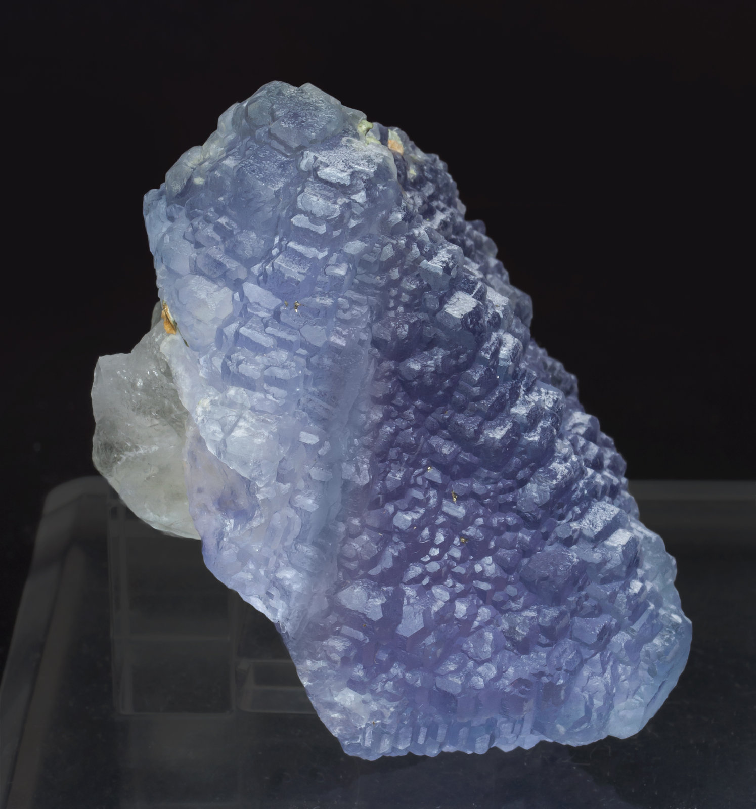 specimens/s_imagesAK1/Fluorite-EX88AK1s.jpg
