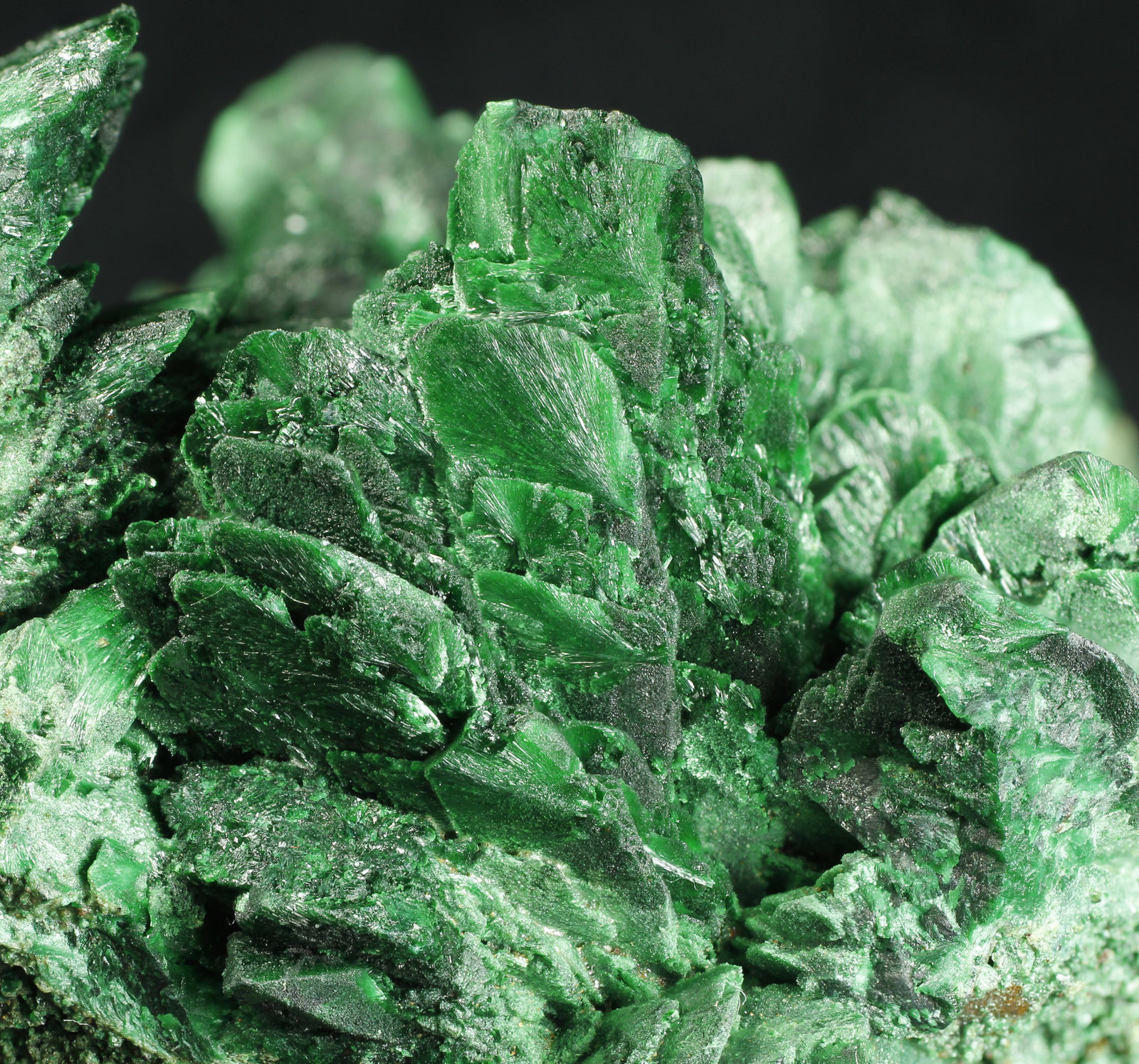 specimens/s_imagesAK1/Malachite-ED27AK1_0619_d1.jpg