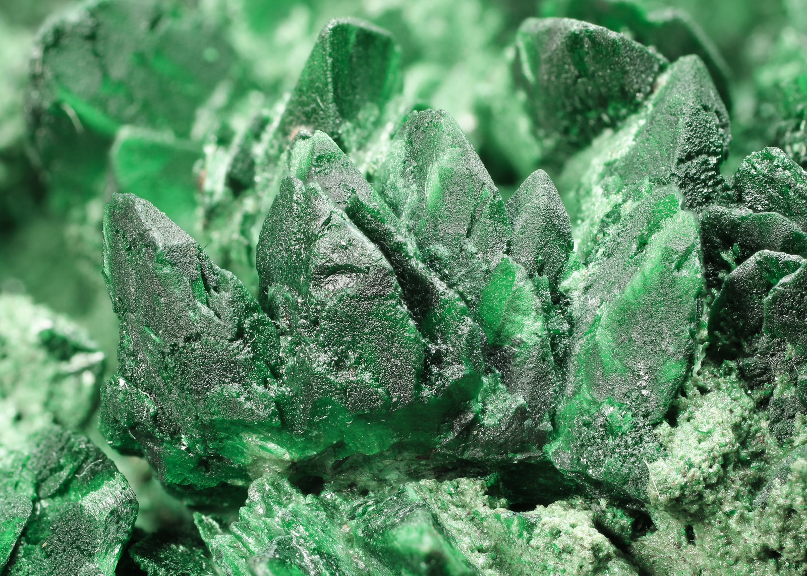 specimens/s_imagesAK1/Malachite-ED27AK1_0634_d2.jpg