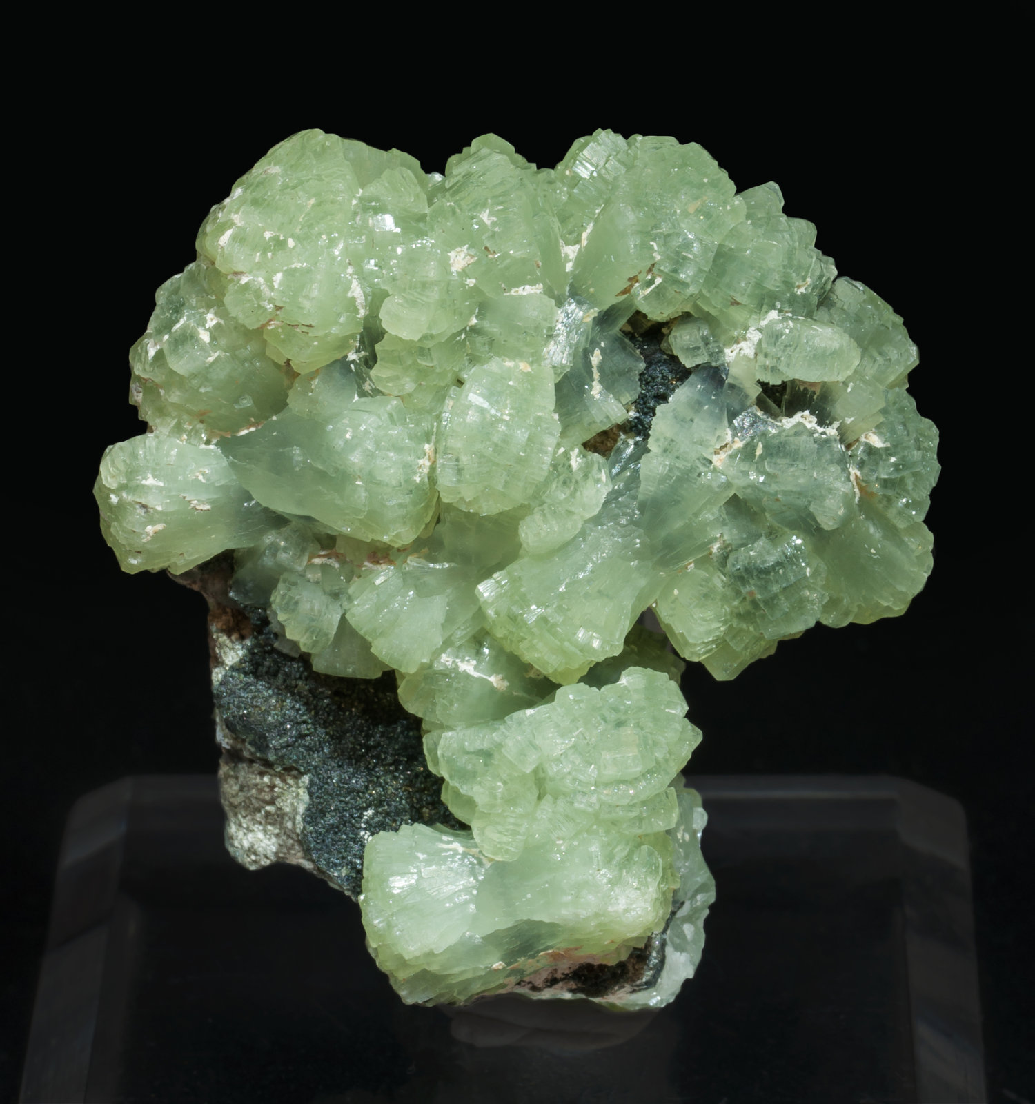 specimens/s_imagesAK1/Prehnite-EC9AK1f.jpg