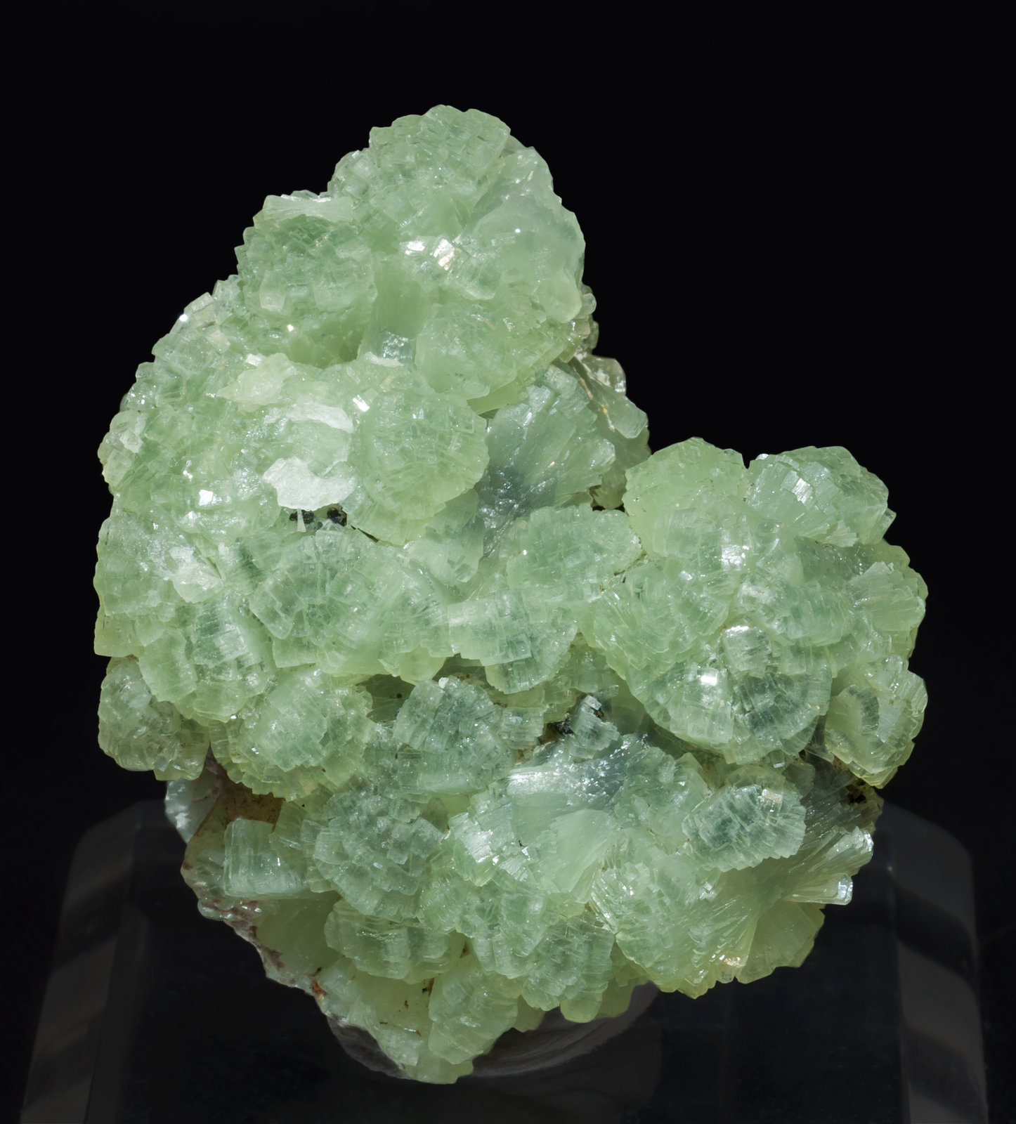 specimens/s_imagesAK1/Prehnite-EC9AK1r.jpg