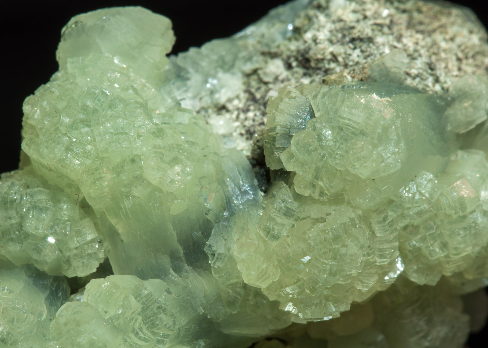 specimens/s_imagesAK1/Prehnite-EH14AK1d.jpg