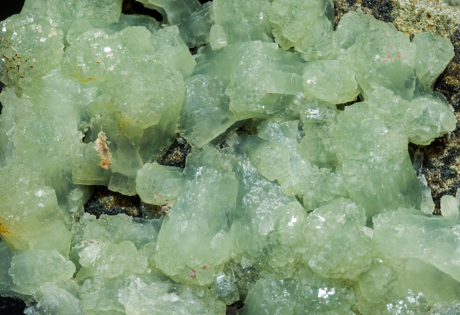 specimens/s_imagesAK1/Prehnite-EJ12AK1d.jpg